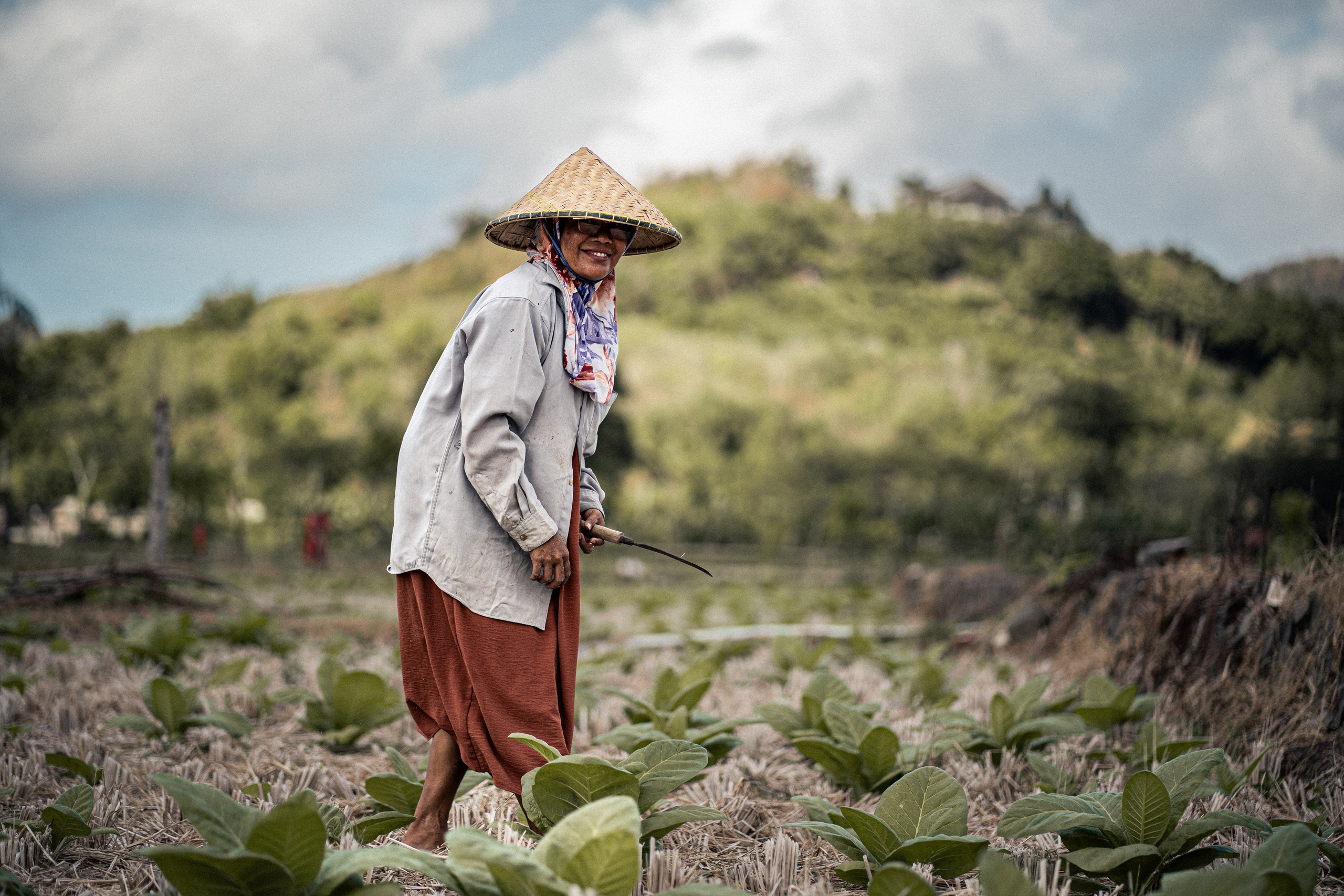 Worldscapes. Catarina Calheiros