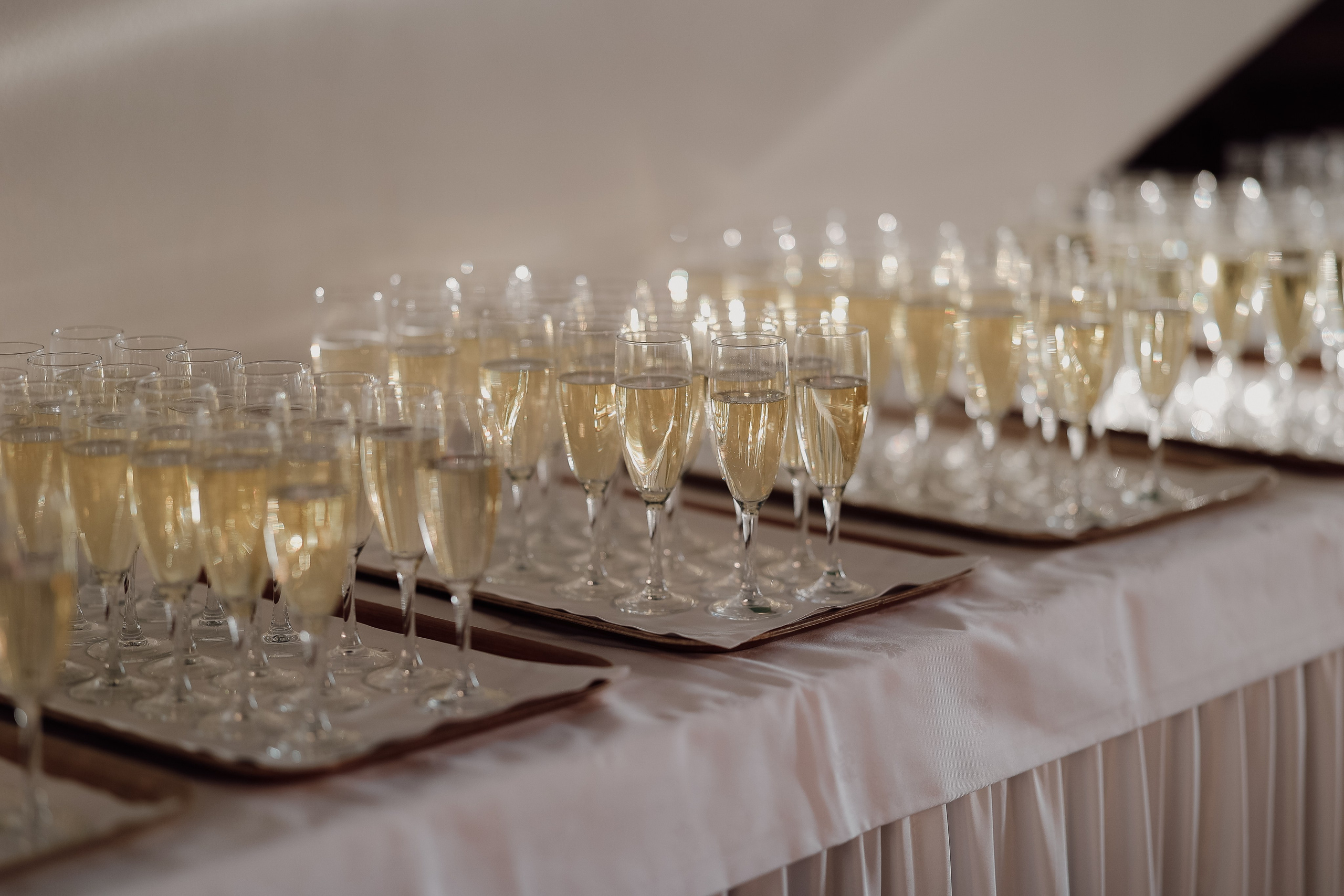 Conferences. Photographer Marina Gargi