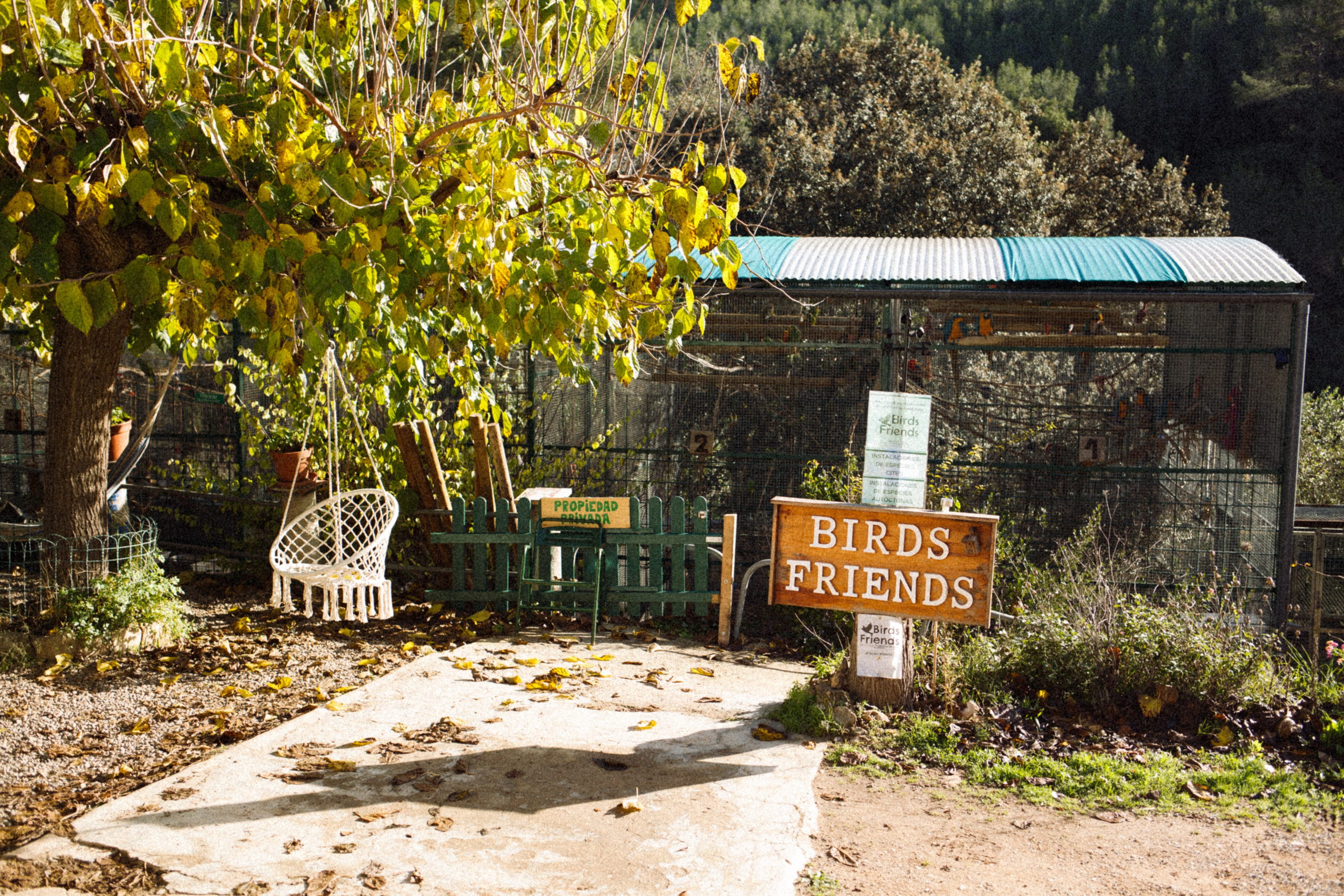 BIRDS. Marina Kálcheva – Photographer & Visual Artist in Barcelona