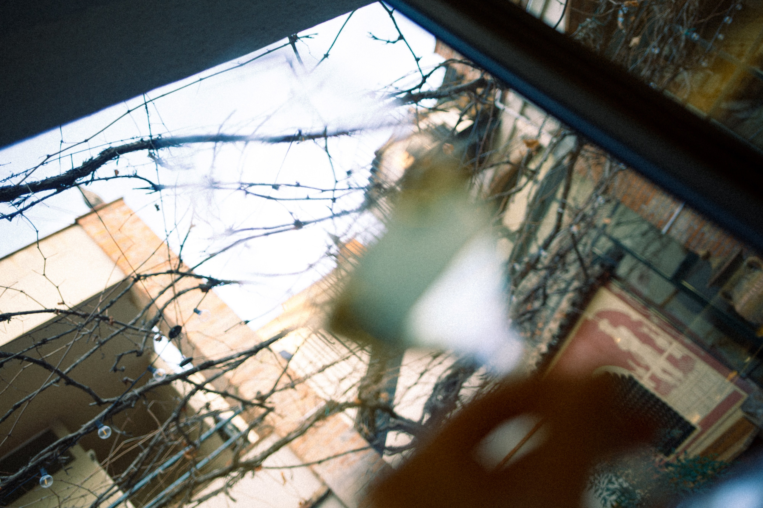 My birthday trip to the winery. Marina Kálcheva — Photographer, Videographer & Visual Artist in Barcelona