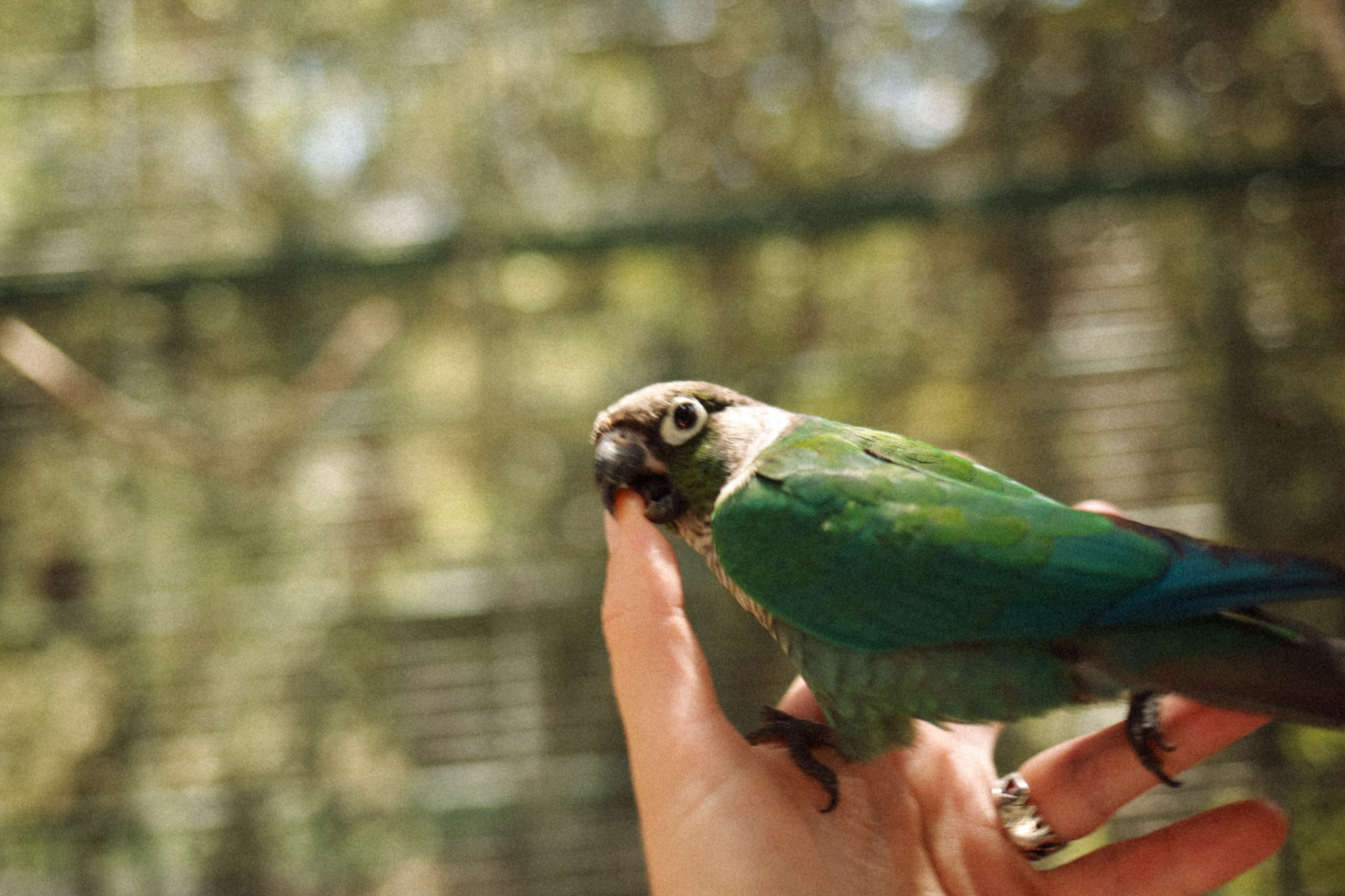 BIRDS. Marina Kálcheva – Photographer & Visual Artist in Barcelona