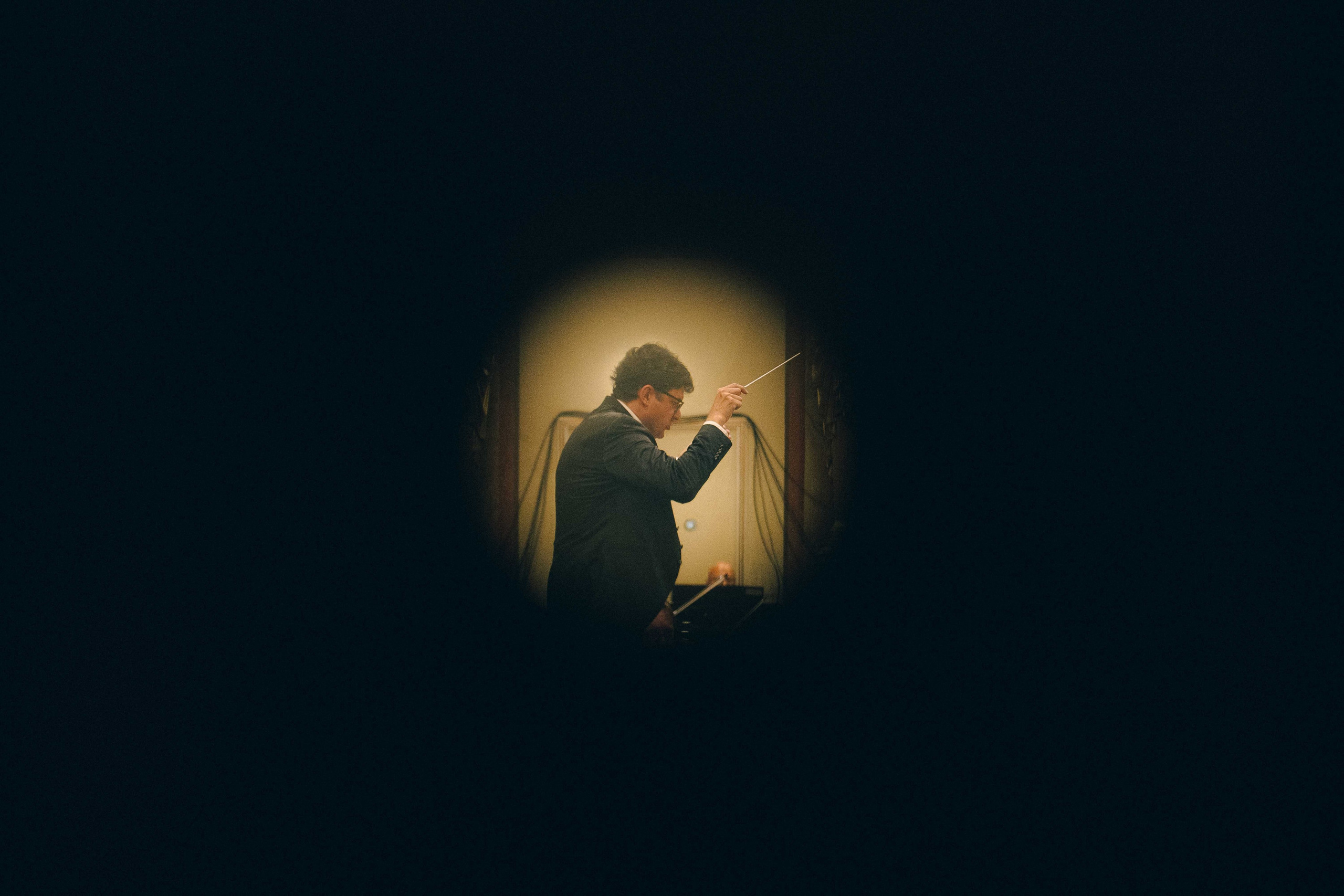 MUSIKVEREIN (VIENNA). Wedding&Event photographer Ismail Rzayev in Baku