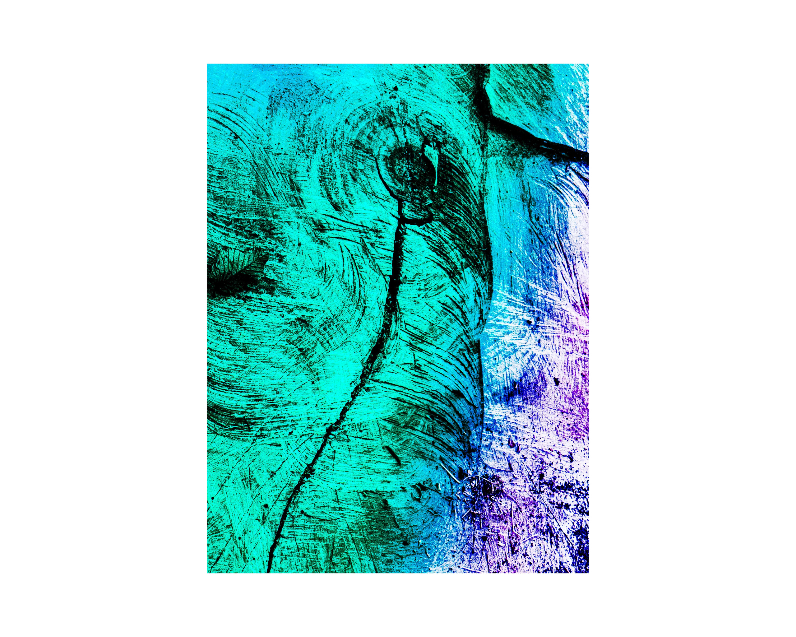 Nature from Exaggerated Worlds. Ekaterina Tsurkina-Appina Photography Canada