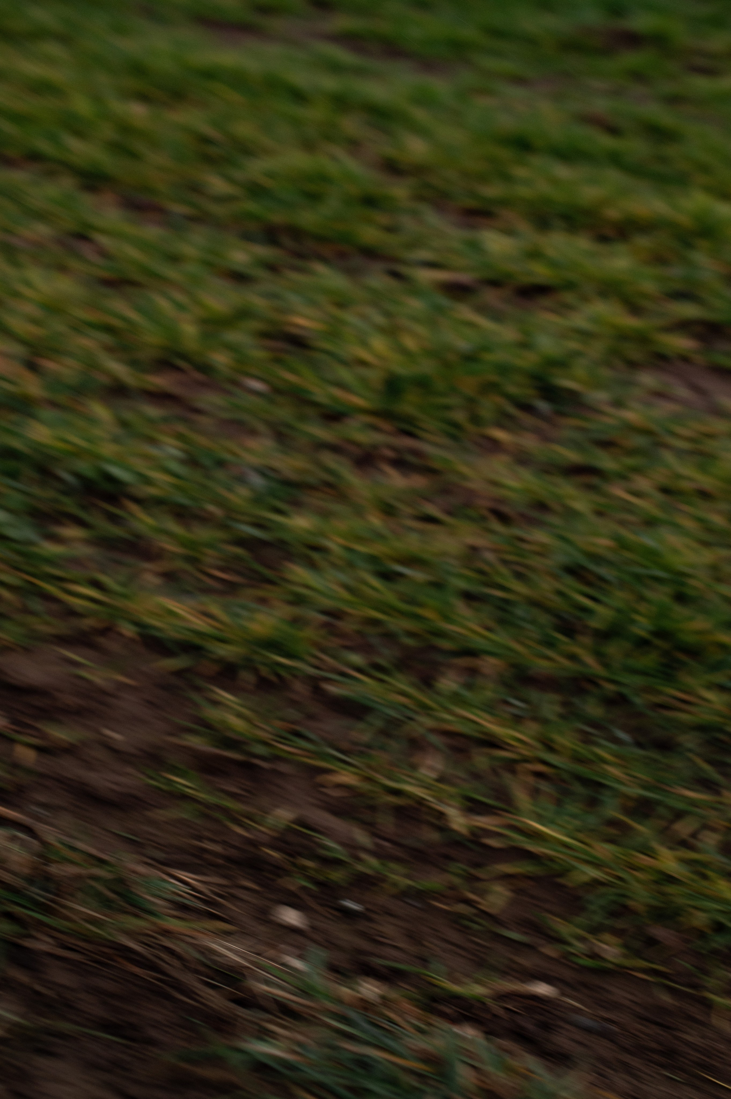 Solaris | Kreatives Paarshooting. Фотограф в Нюрнберге Ирина Менерт из Ансбаха