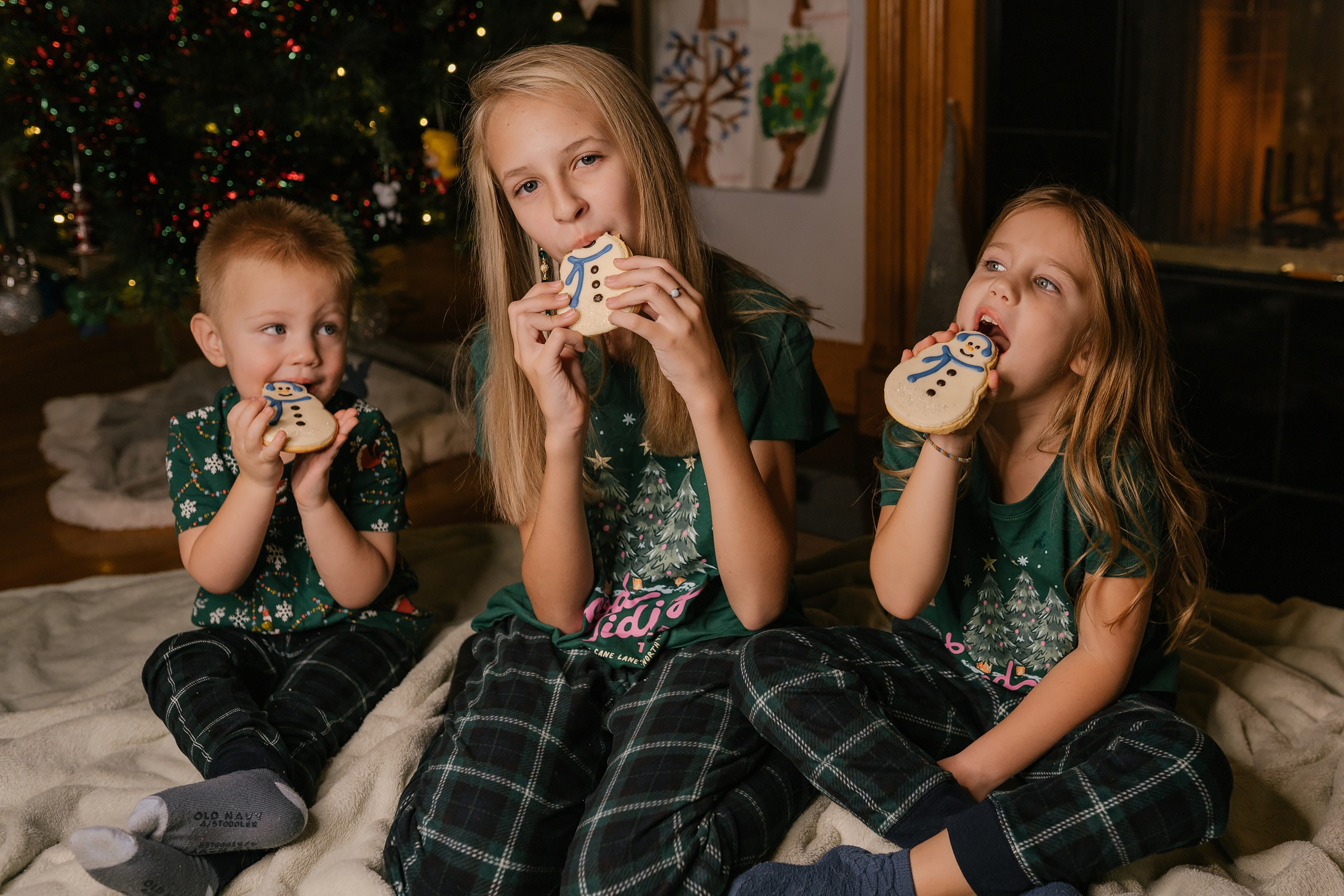 12.07.2025 Christmas Photoshoot. Wedding family event photographer in Chicago Nick Yushevich