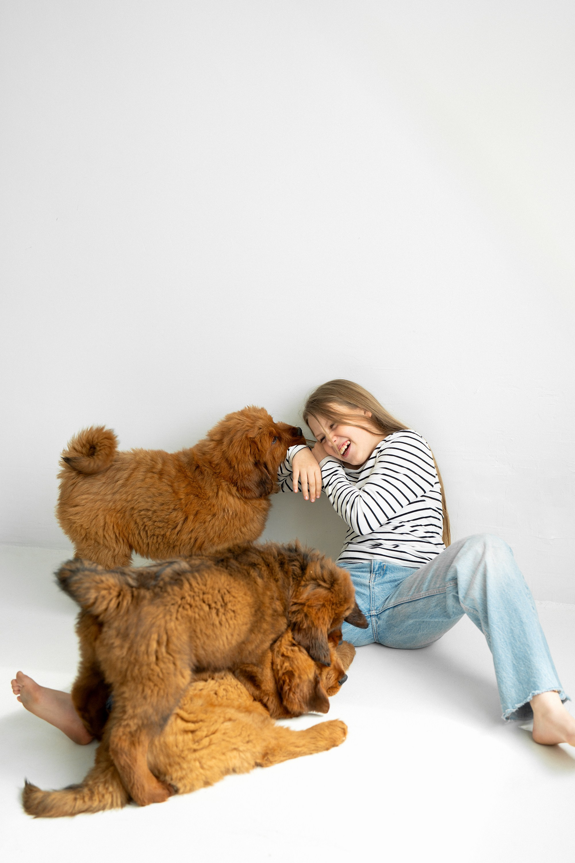 Žaneta, Urtė ir tibeto mastifų veislyno šuniukai. Vita Klimaševska ○ Fluffy Soulmate Photography