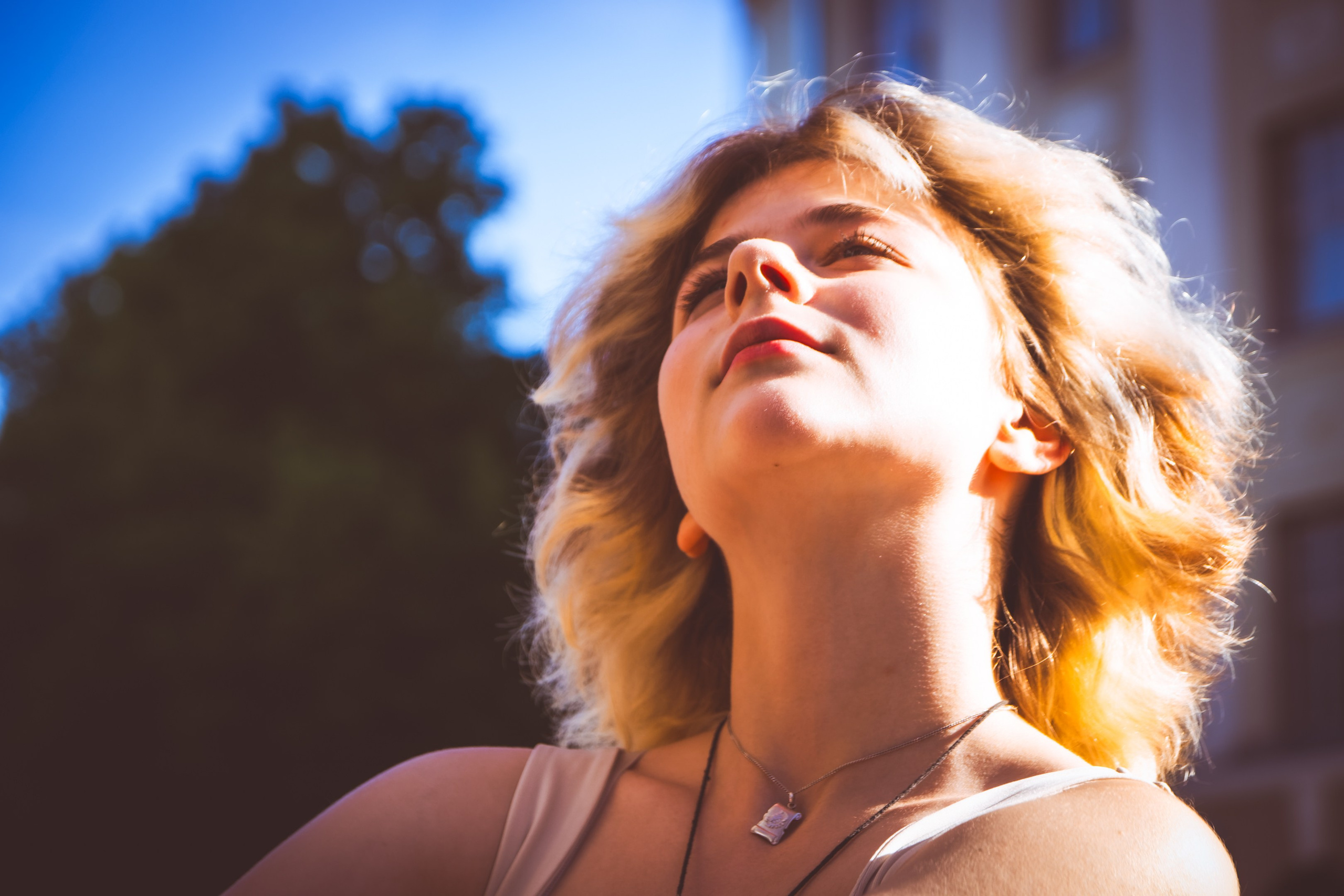 Lahe graatsia (Sonja). Nebula 25 — Fotod teie hingele