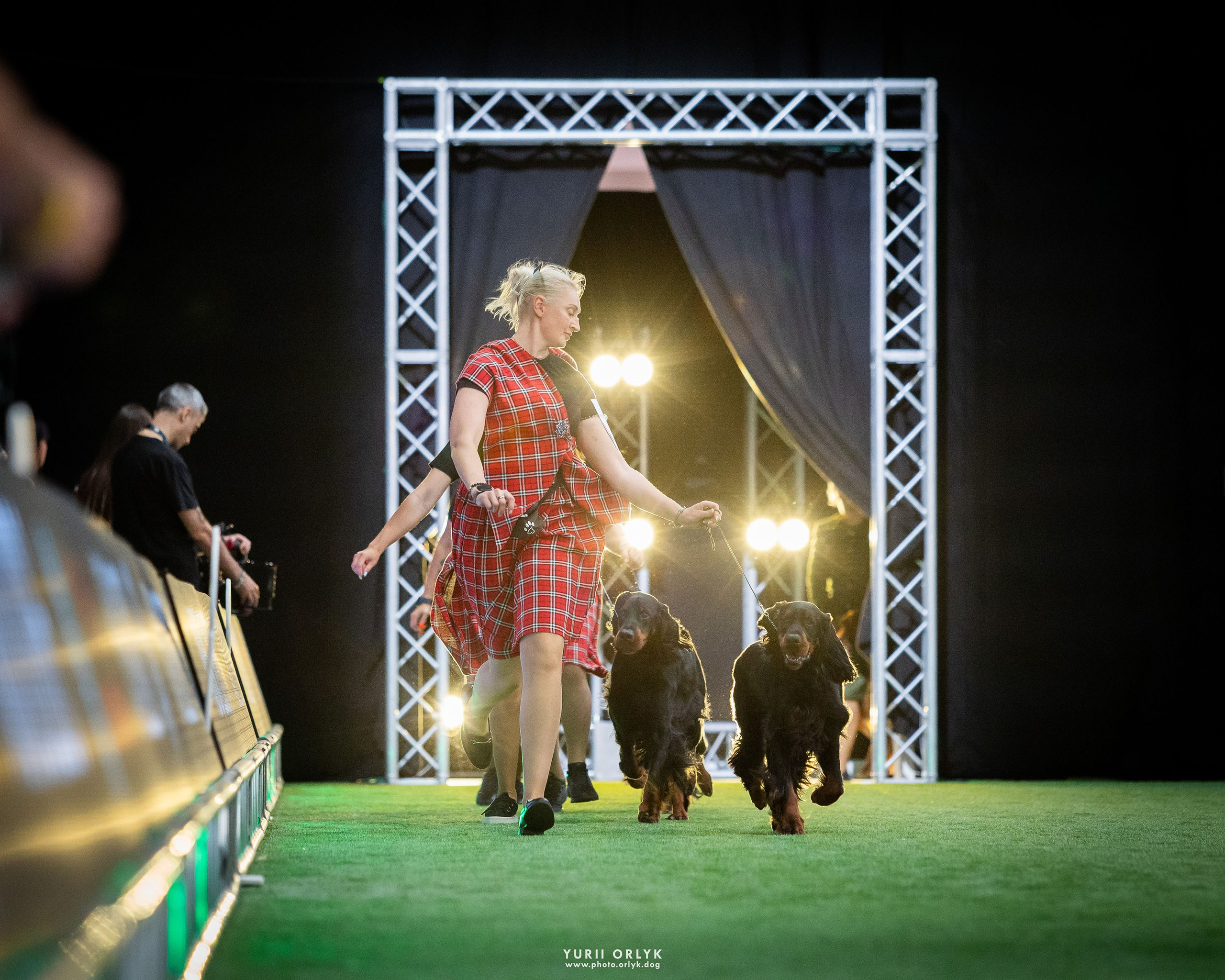 Dog Shows. Yurii Orlyk Photography