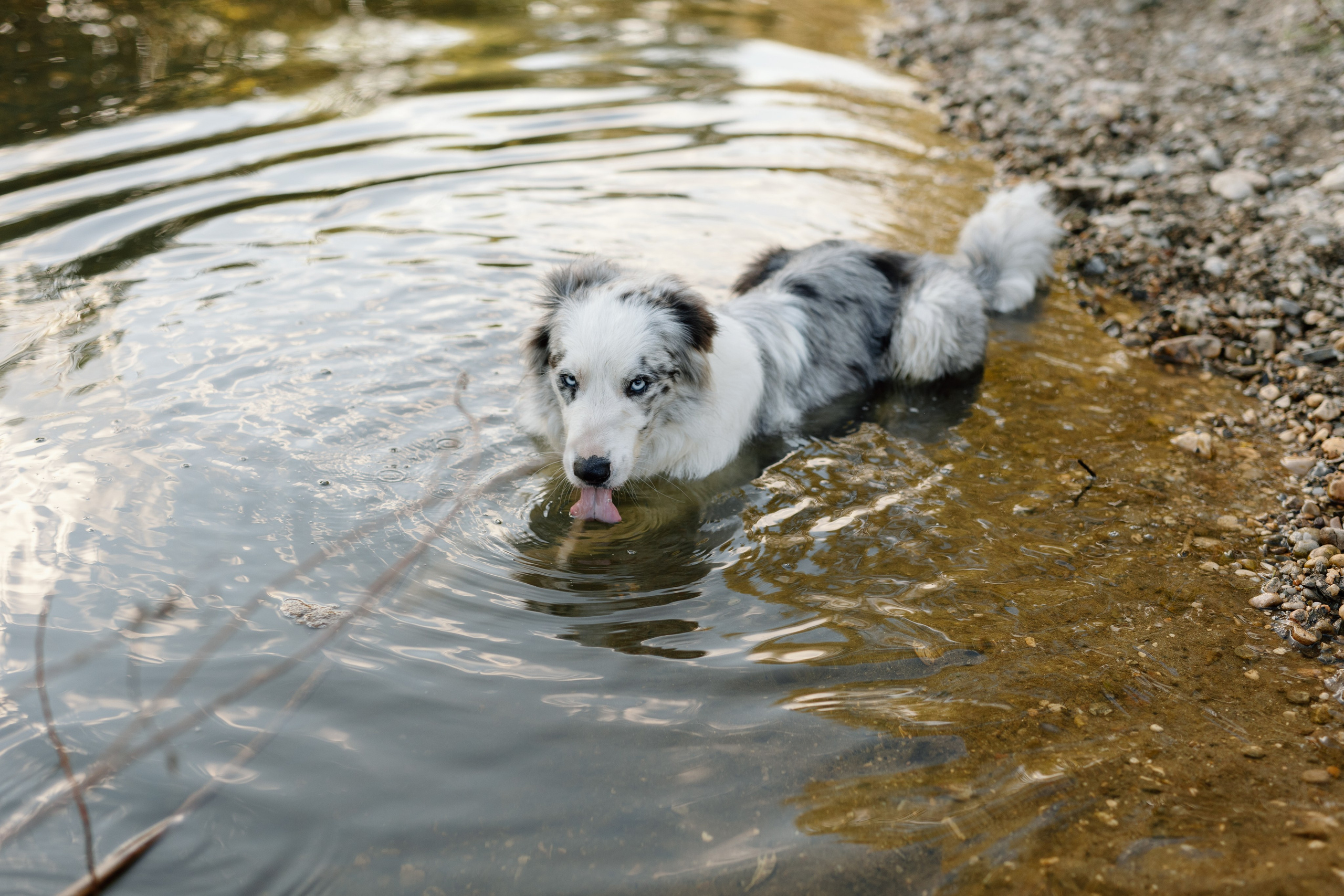 Cristina, George & Ian — Family. Main