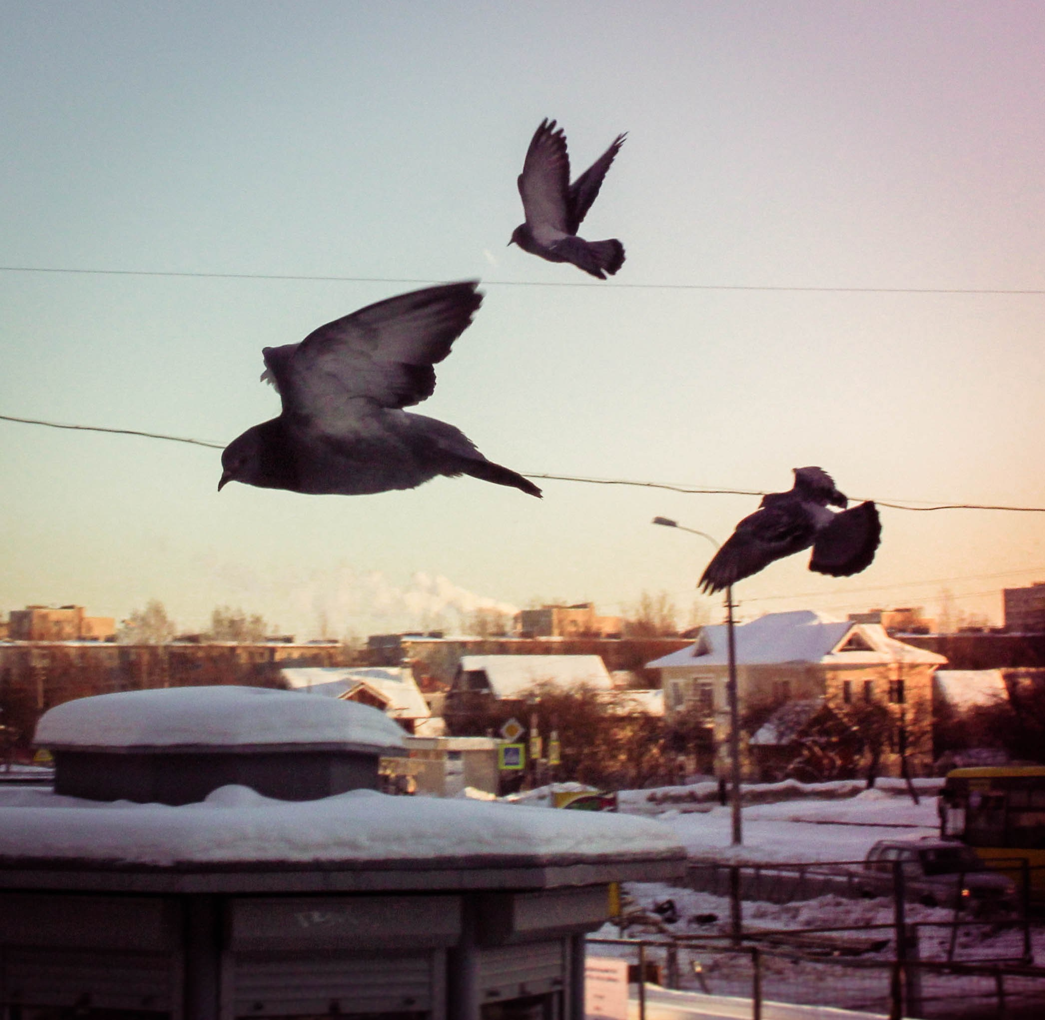 2013. Стрит-фотография, полная абсурда, идиотизма и красоты