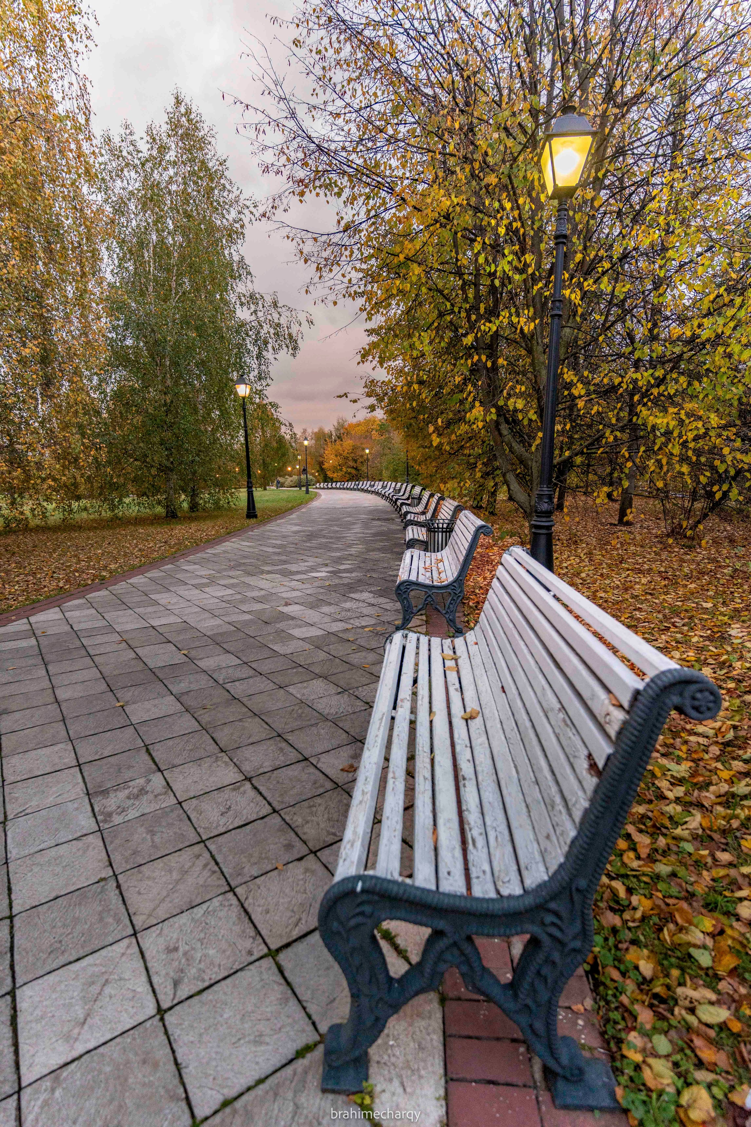 Фото. Брахим — фотограф