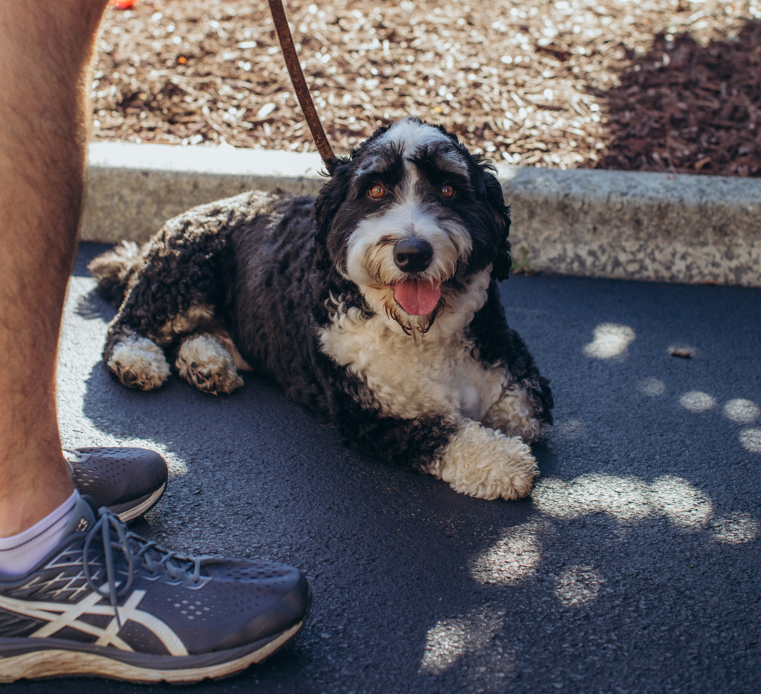 ECC 5K Run & Walk. Love Through Photo