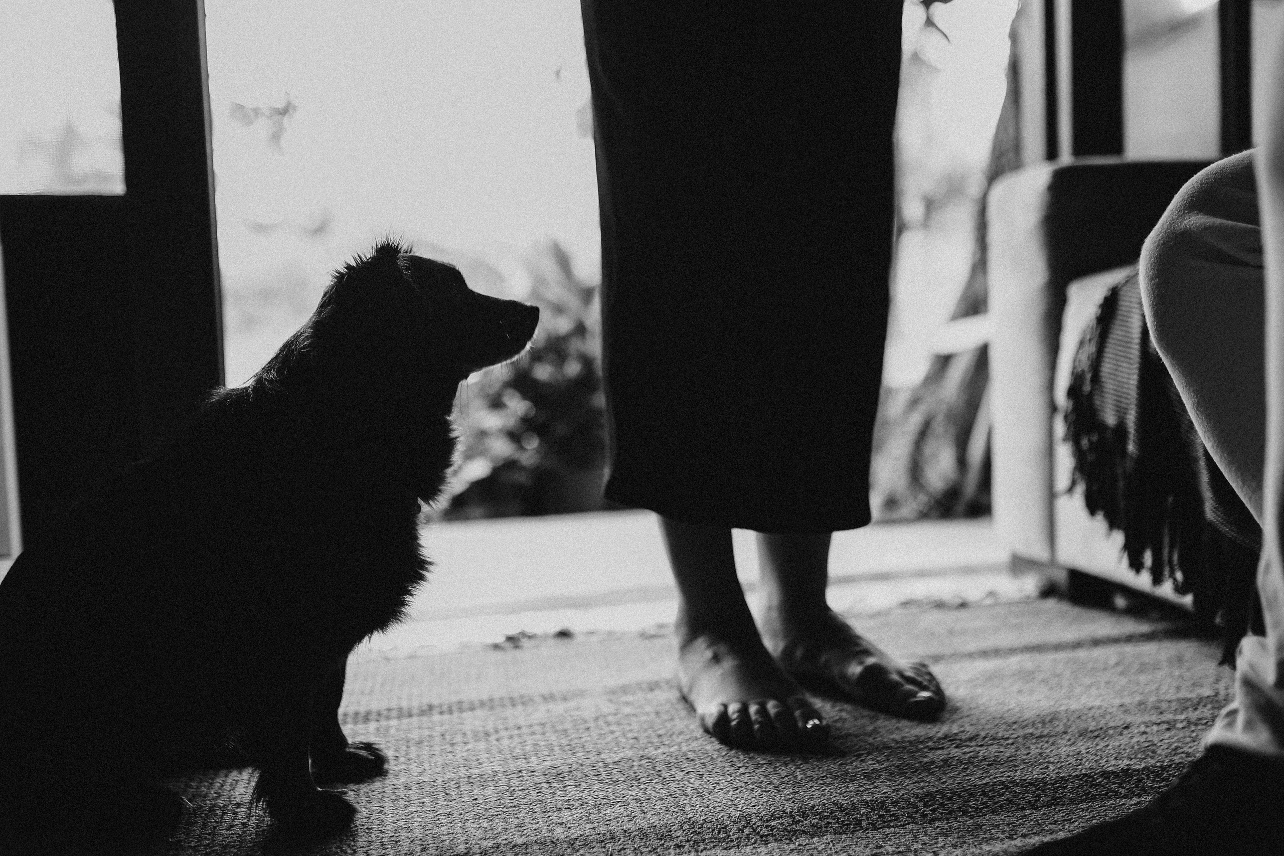 A espera do Akira. Fotografa de família e crianças em Florianópolis SC Daria Ermolaev