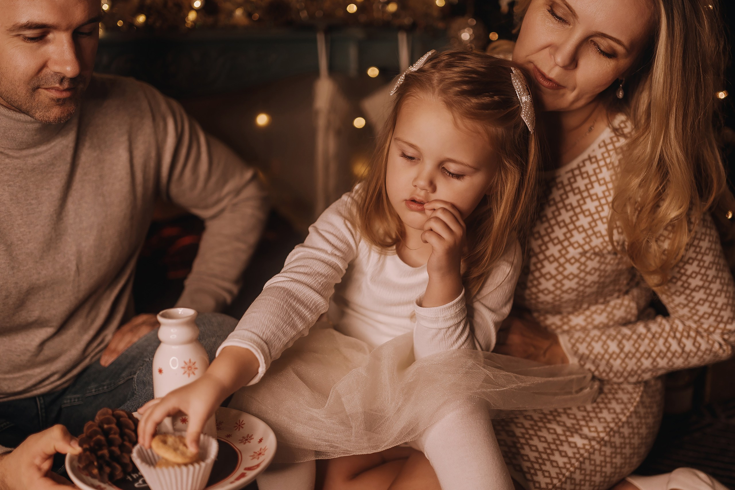 25.11.2023 Christmas Photoshoot. Wedding family event photographer in Chicago Nick Yushevich