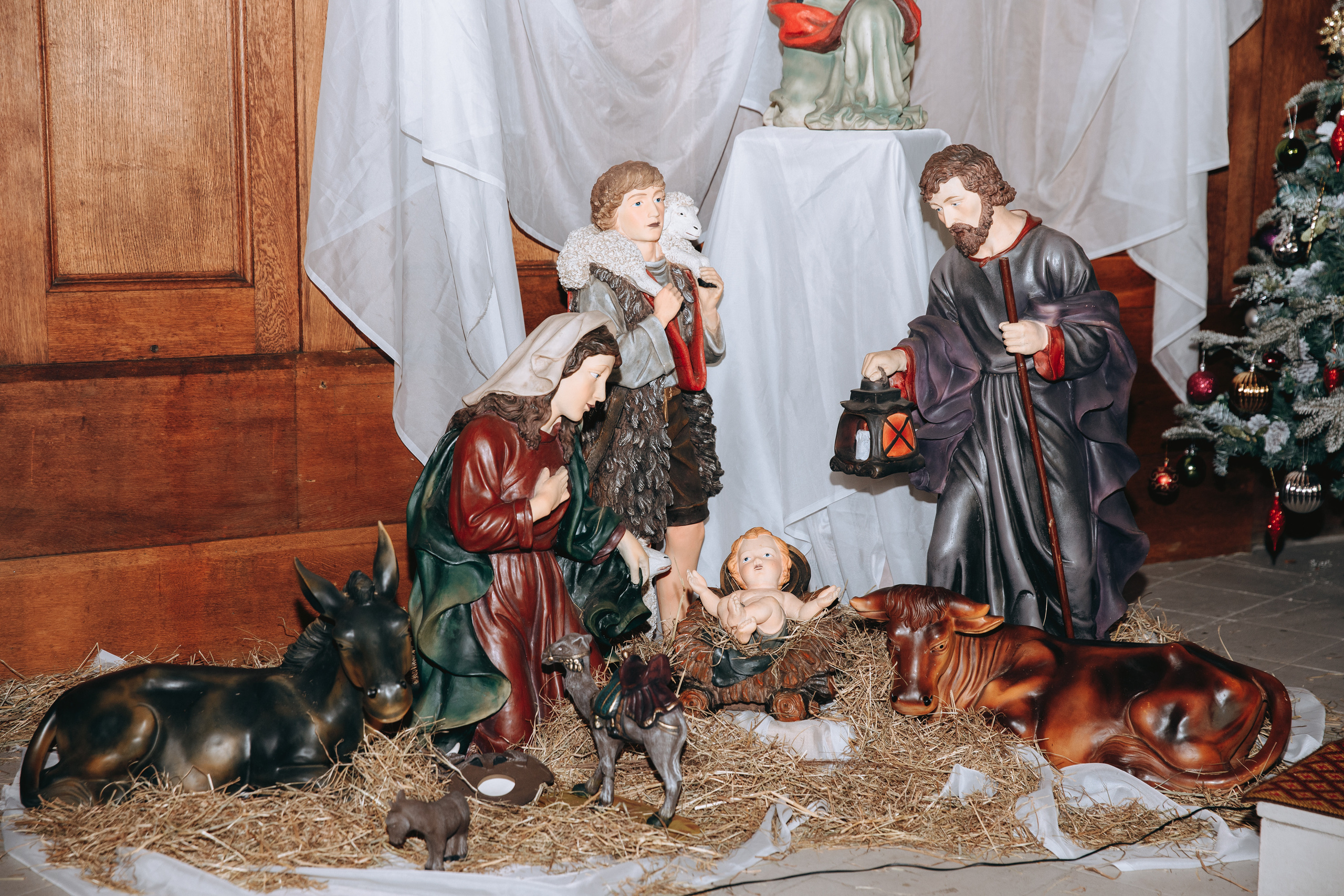 Matteo. Petru Gorea Photography | Family | Portrait | Fashion | Brand