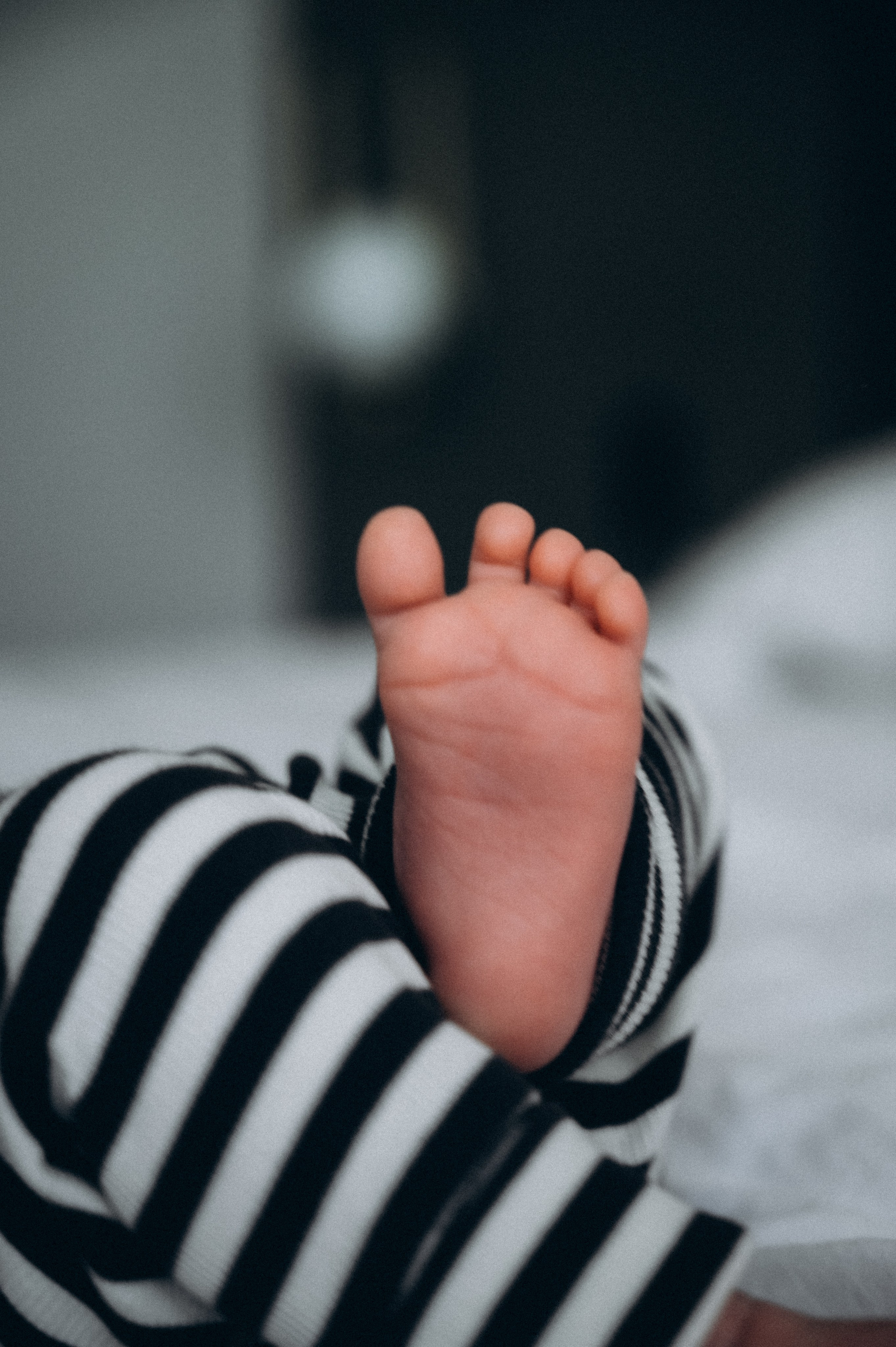 Family stories. Portrait photographer in Argentina