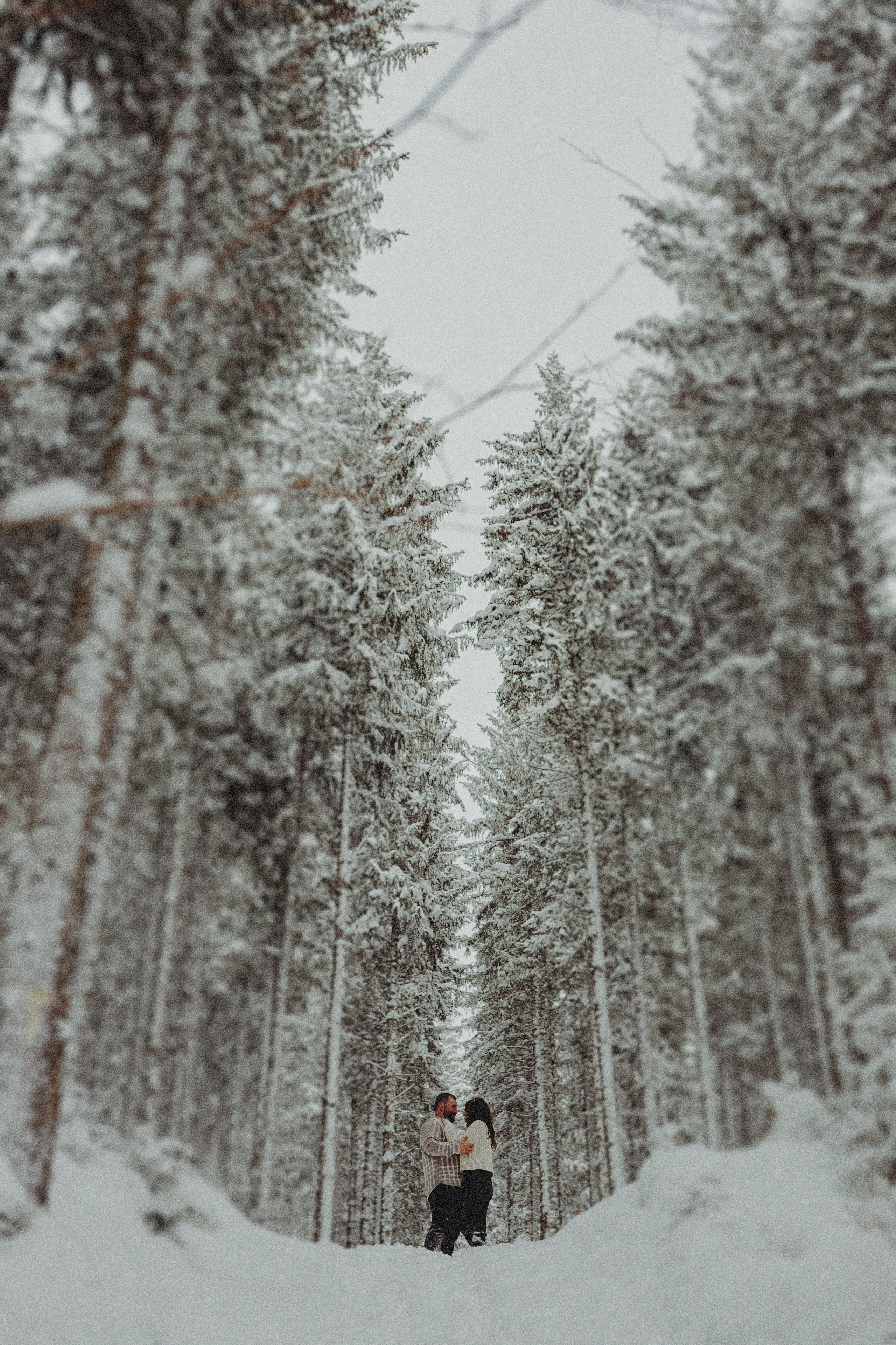 Save the date — C&V. Bogdan Dumitrel — wedding photograher