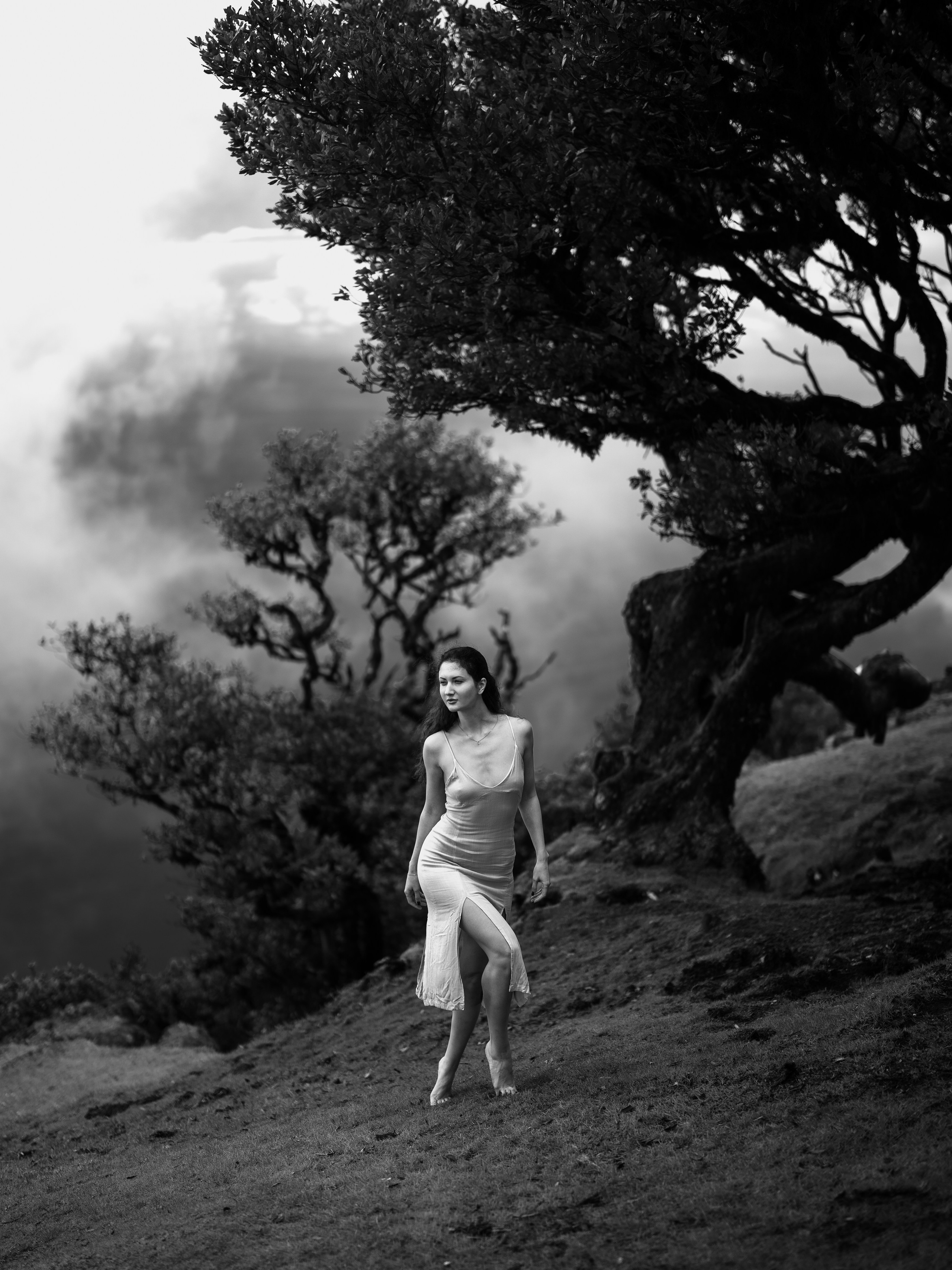 Plein air. Ekaterina Verbitskaya. Photography