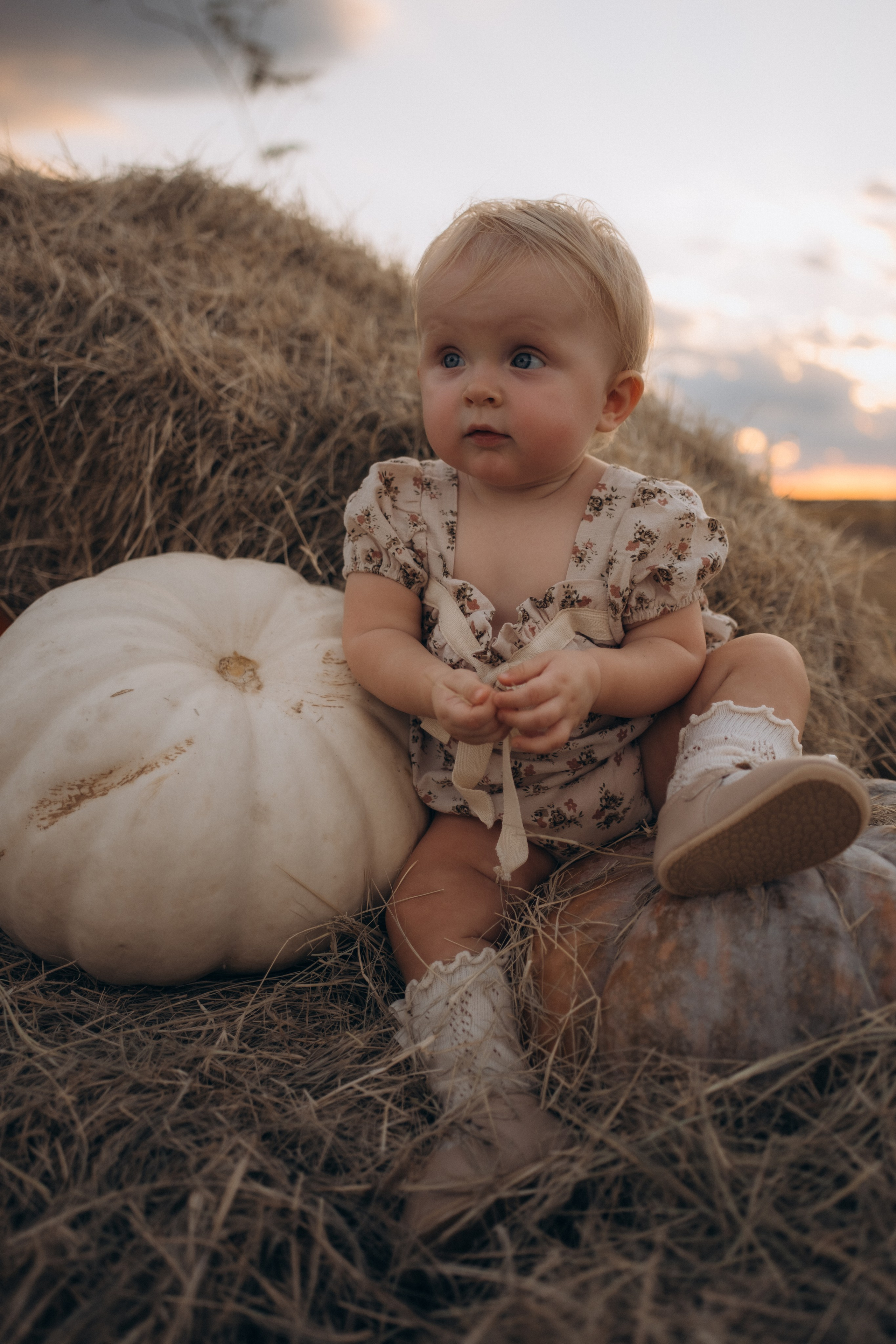 Farm Story. Lens Captures Life
