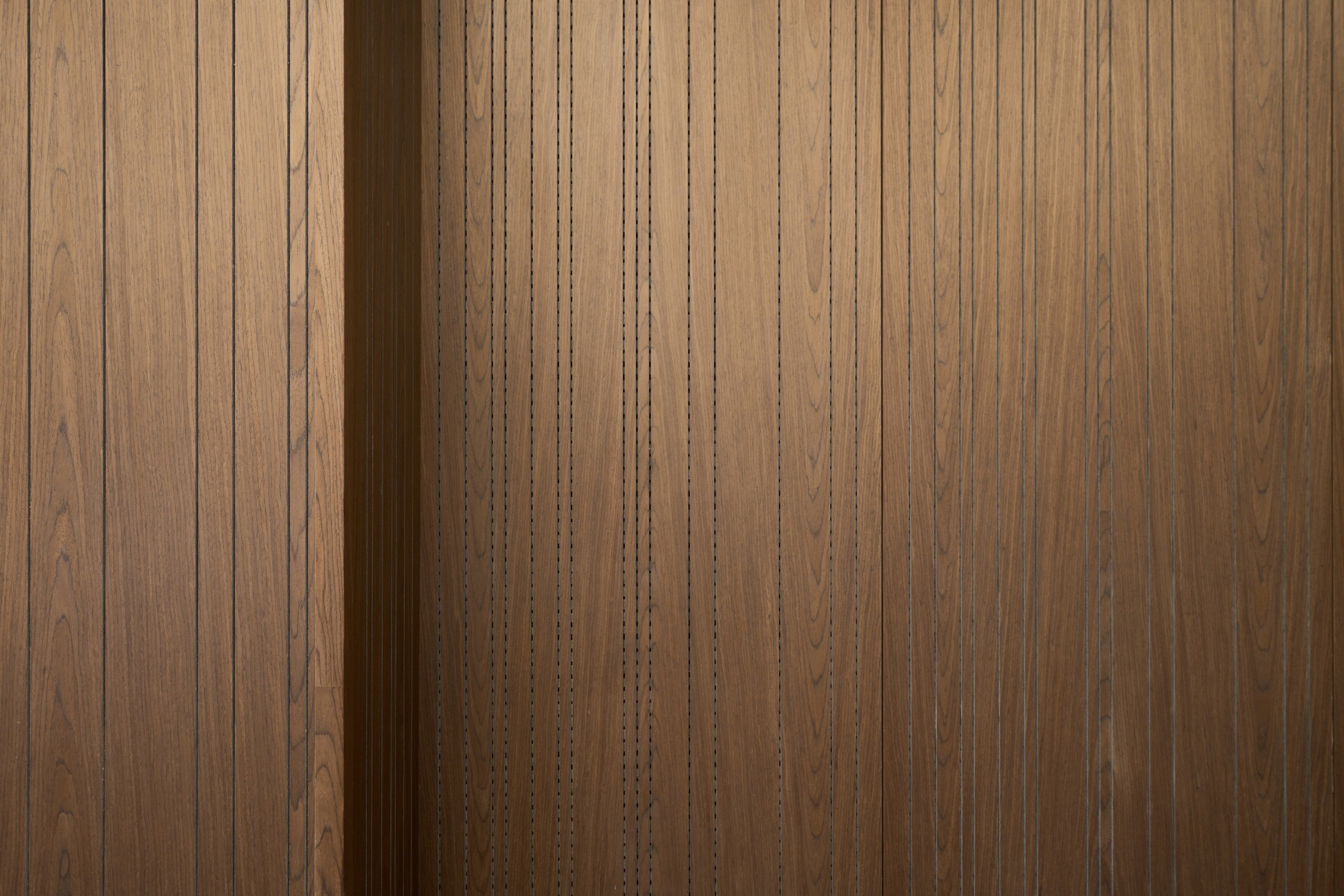 Главная. Фотограф в Москве