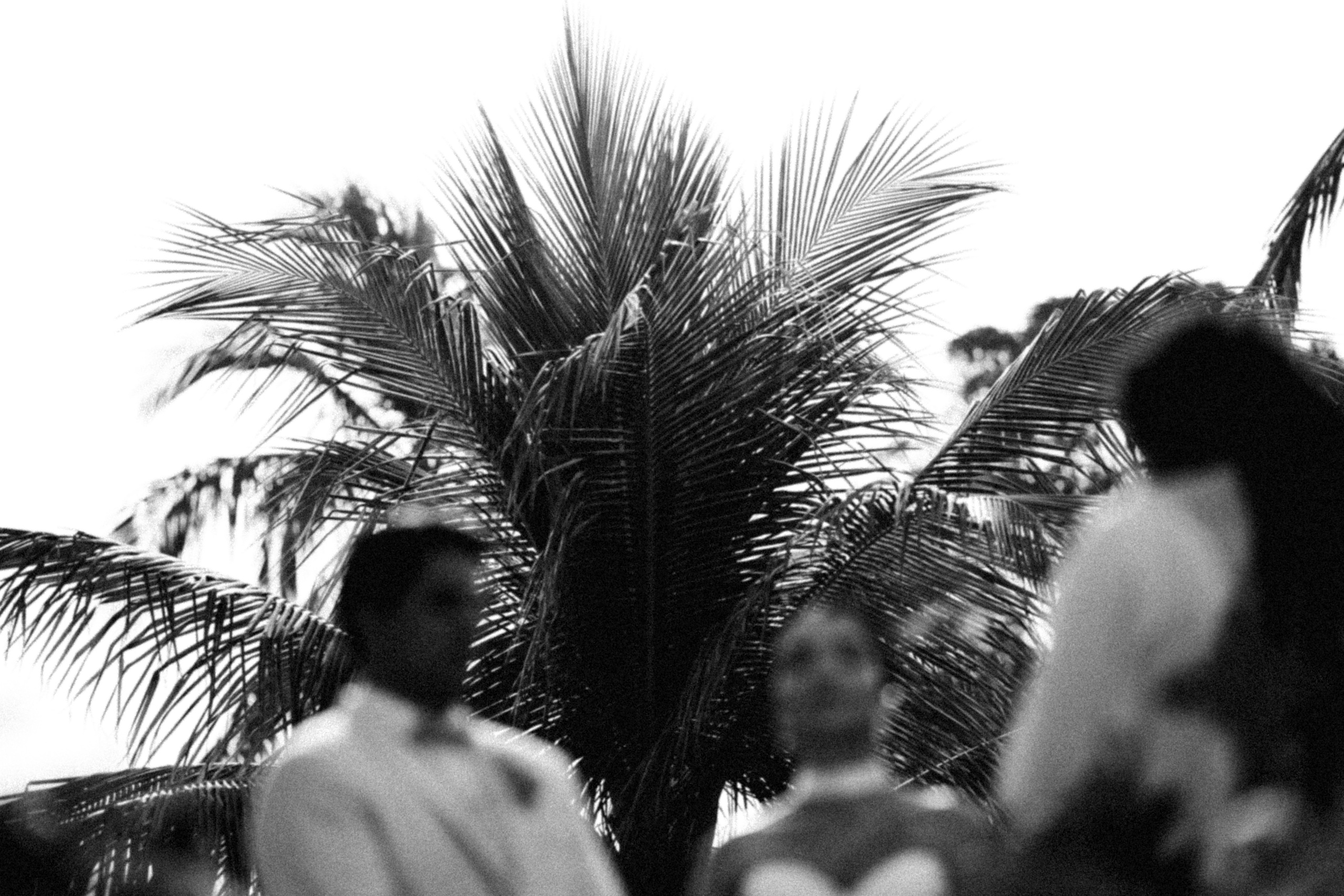 Vitória & João Pedro. Congiu Wedding