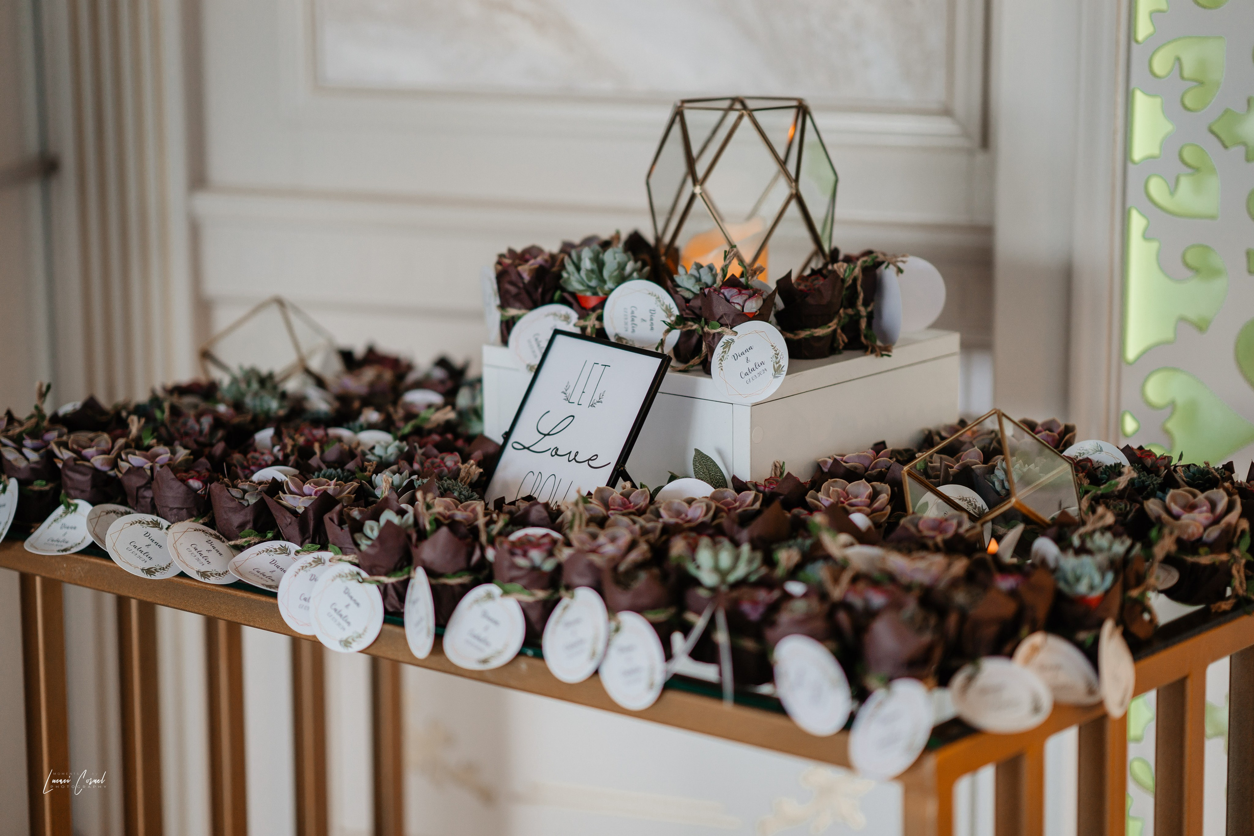 Diana & Cătălin – Nuntă clasică și rafinată. Fotograf de nuntă, corporate, botezuri, majorate și aniversări Roman, Lucaci Cornel