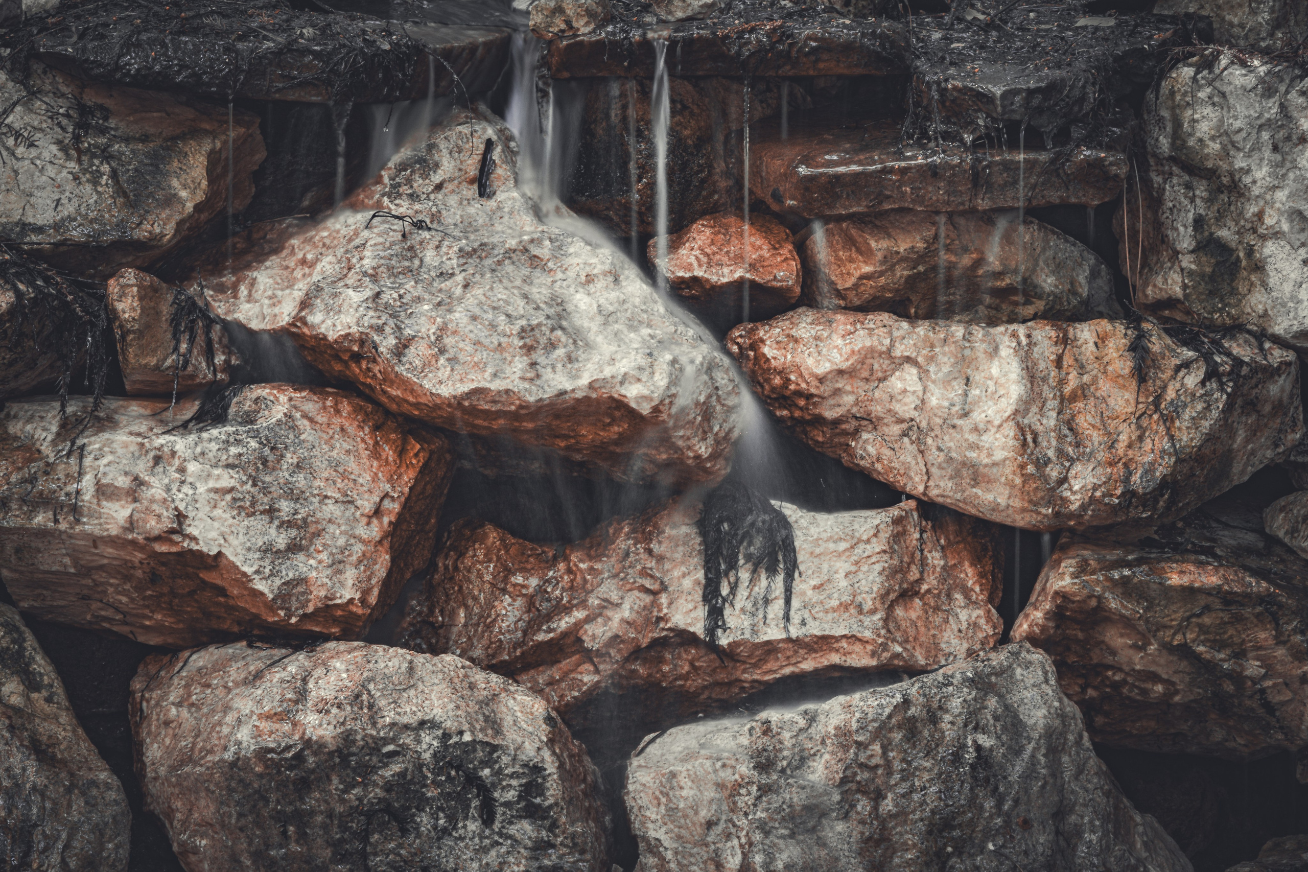 Decor botez tematic pastel – fotografie profesională