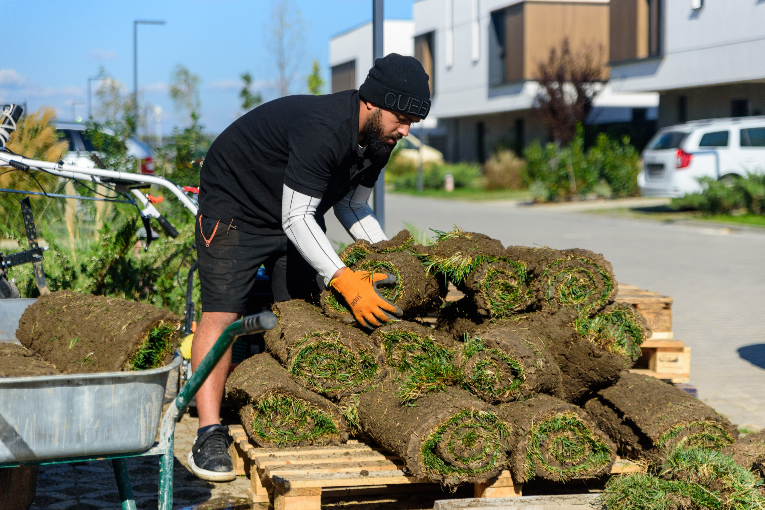 Fotograf corporate, fotografii amenajare gradina, pret fotograf corporate, Servicii Profesionale pentru Evenimente de Business, Portrete business, fotografii pentru evenimente organizate de companii, fotografie de produs, Poze business bucuresti, Fotografii profesionale bucuresti, Fotografii portret profesionale, fotograf corporate Bucuresti, Fotografie E-commerce, pret fotograf corporate, fotografie corporate pentru profil web sau reviste, produse comerciale, fotograf hala de productie, evenimentele companiei, fotografii de portret angajati, fotografii echipa, fotografii site, fotografie comerciala, fotografie curti feng shuy, fotografie gazon, amanejarea gradinii