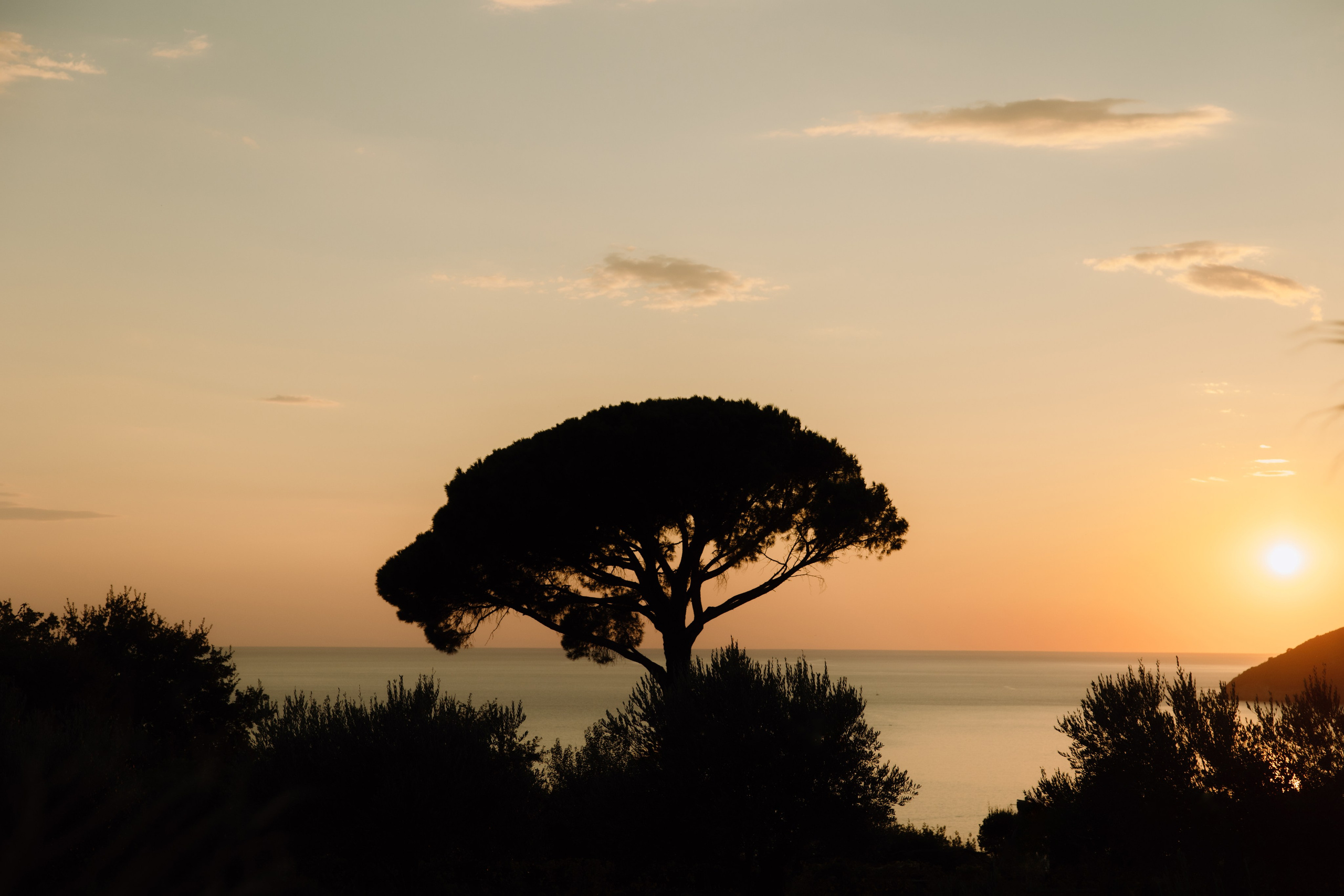 Justyna ir Paulius | 2023 | MONTENEGRO. Vestuvių ir šeimų fotografė Lena Bondarenko / belove photo