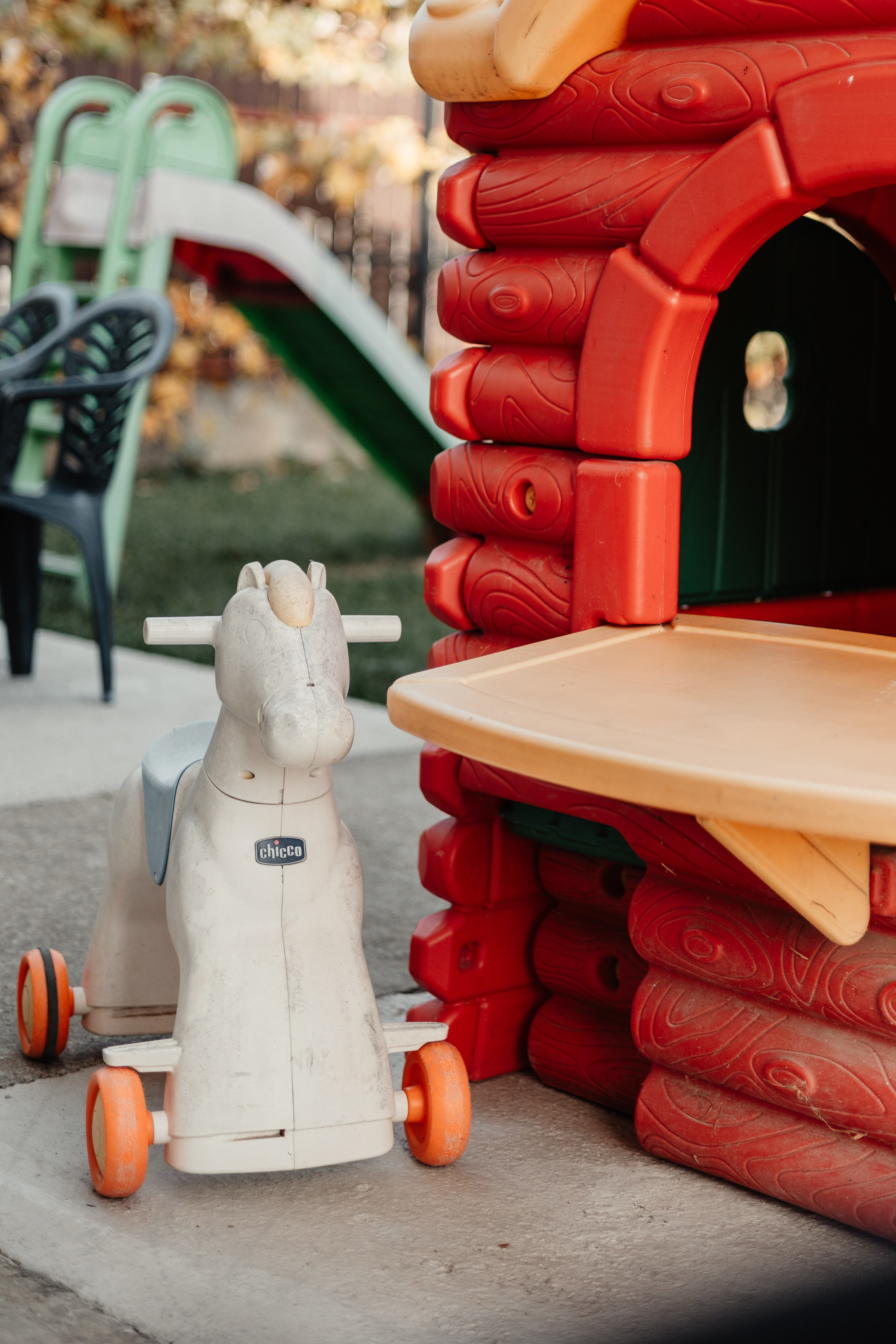 Dominic-Gabriel. FotoACTIV.ro - Imaginea ta contează