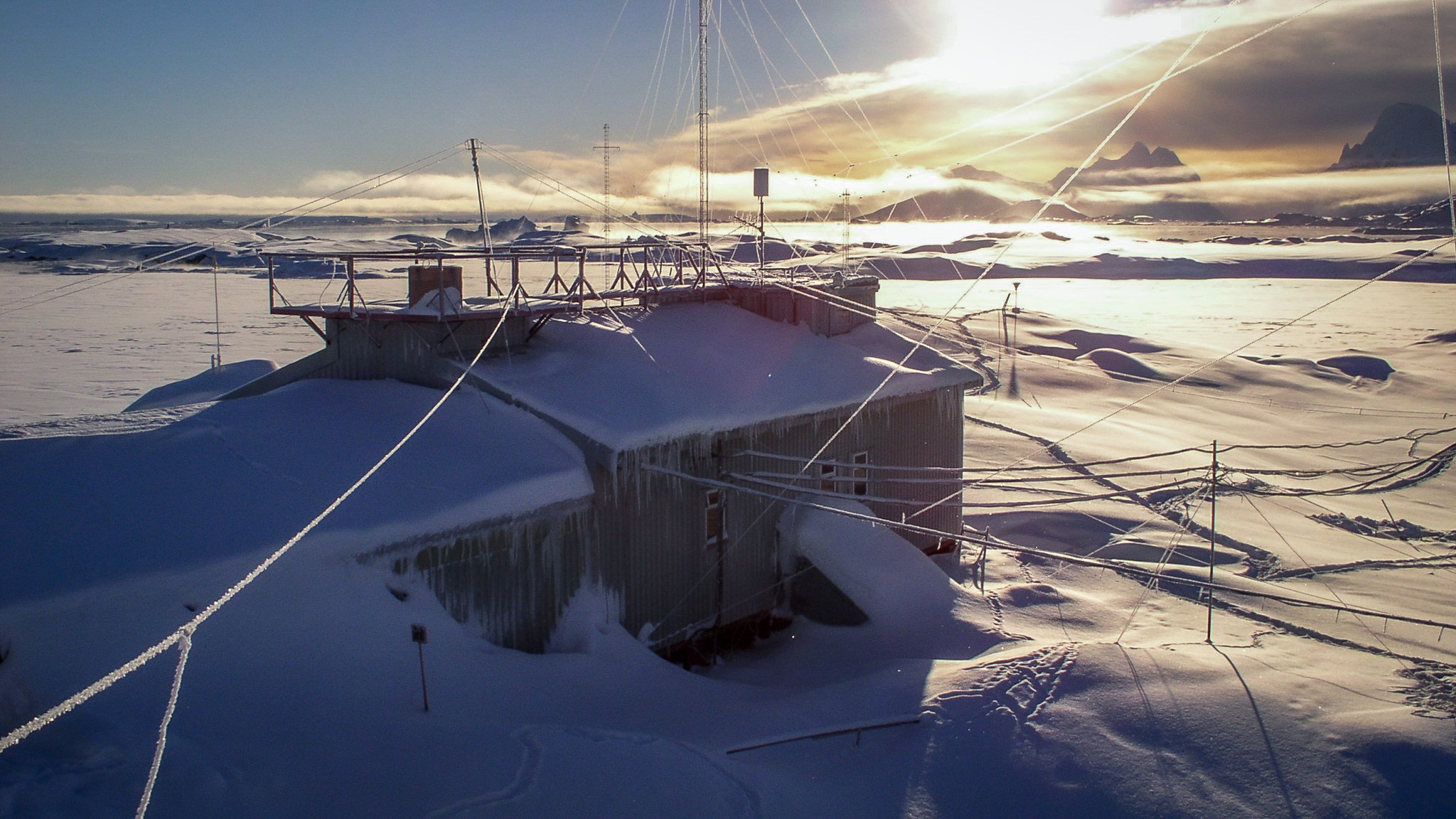 ANTARCTICA / 2004. Reportage concert portrait photography in the San Francisco Bay Area