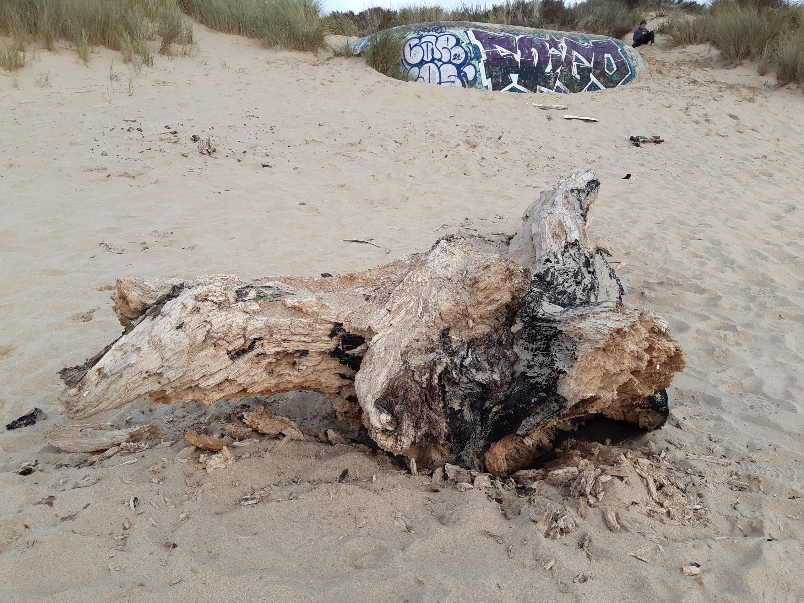 Materials collection and inspiration. Anne-Flore REY, Artist — Painter and Sculptor in TOULOUSE (FR)