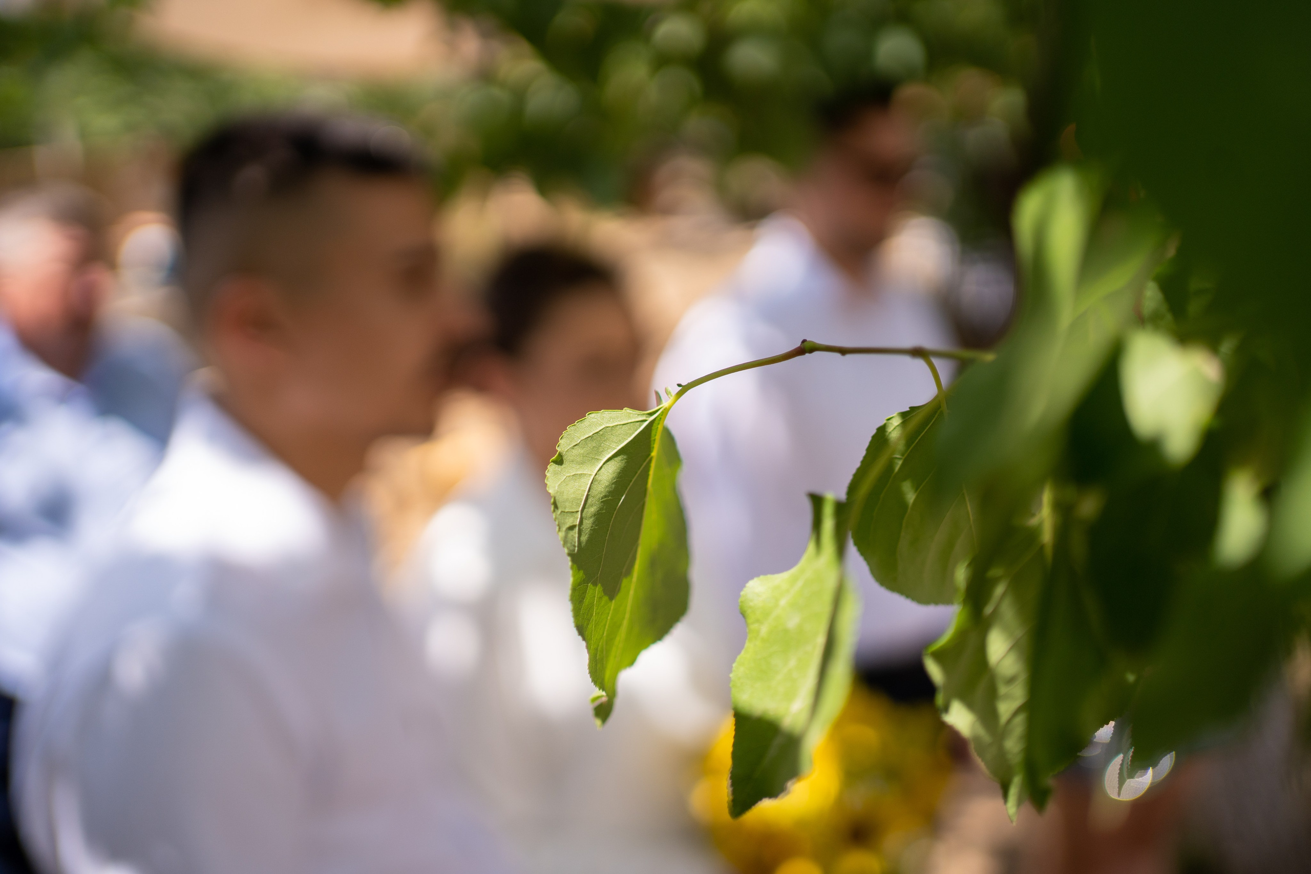 Andreea & Cristian. Fotograf evenimente, fotograf nunta, fotograf botez