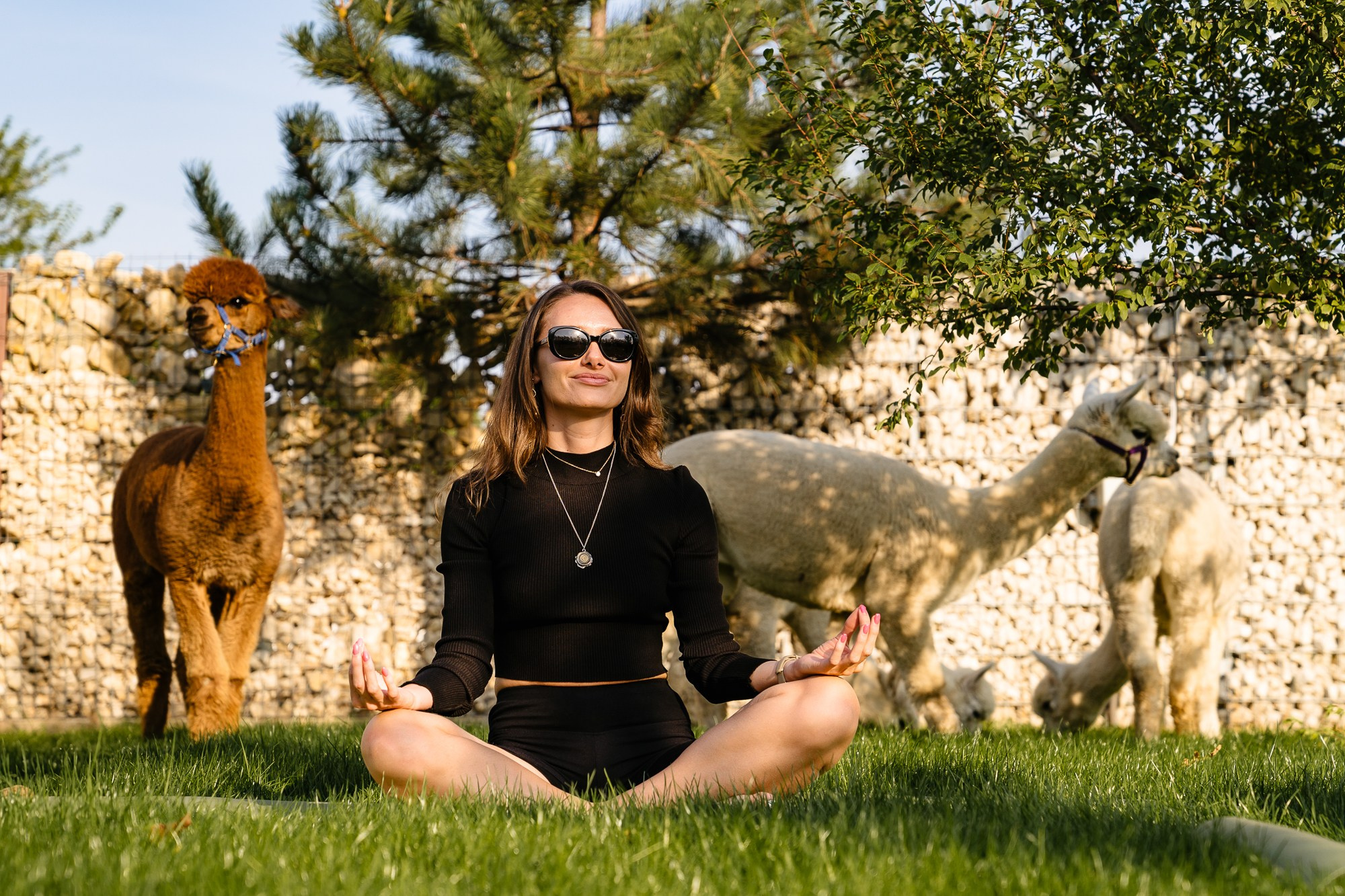 Openings & Brand Activation | Fotografie PR. Fotograf Corporate Business