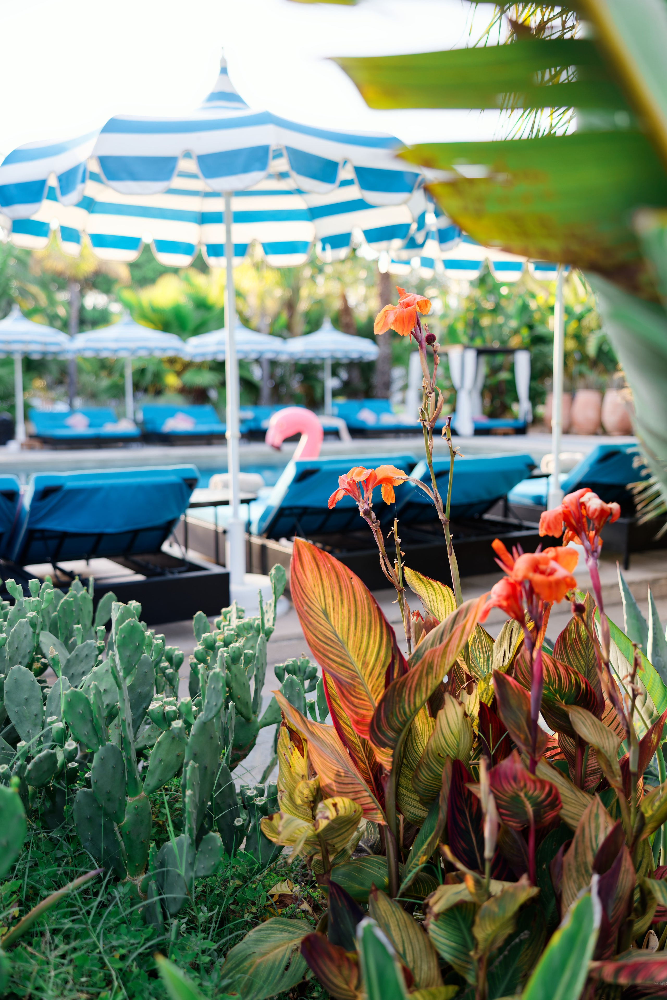 Haldi Ceremony & Mehndi Night & pre-wedding dinner, Barcelona