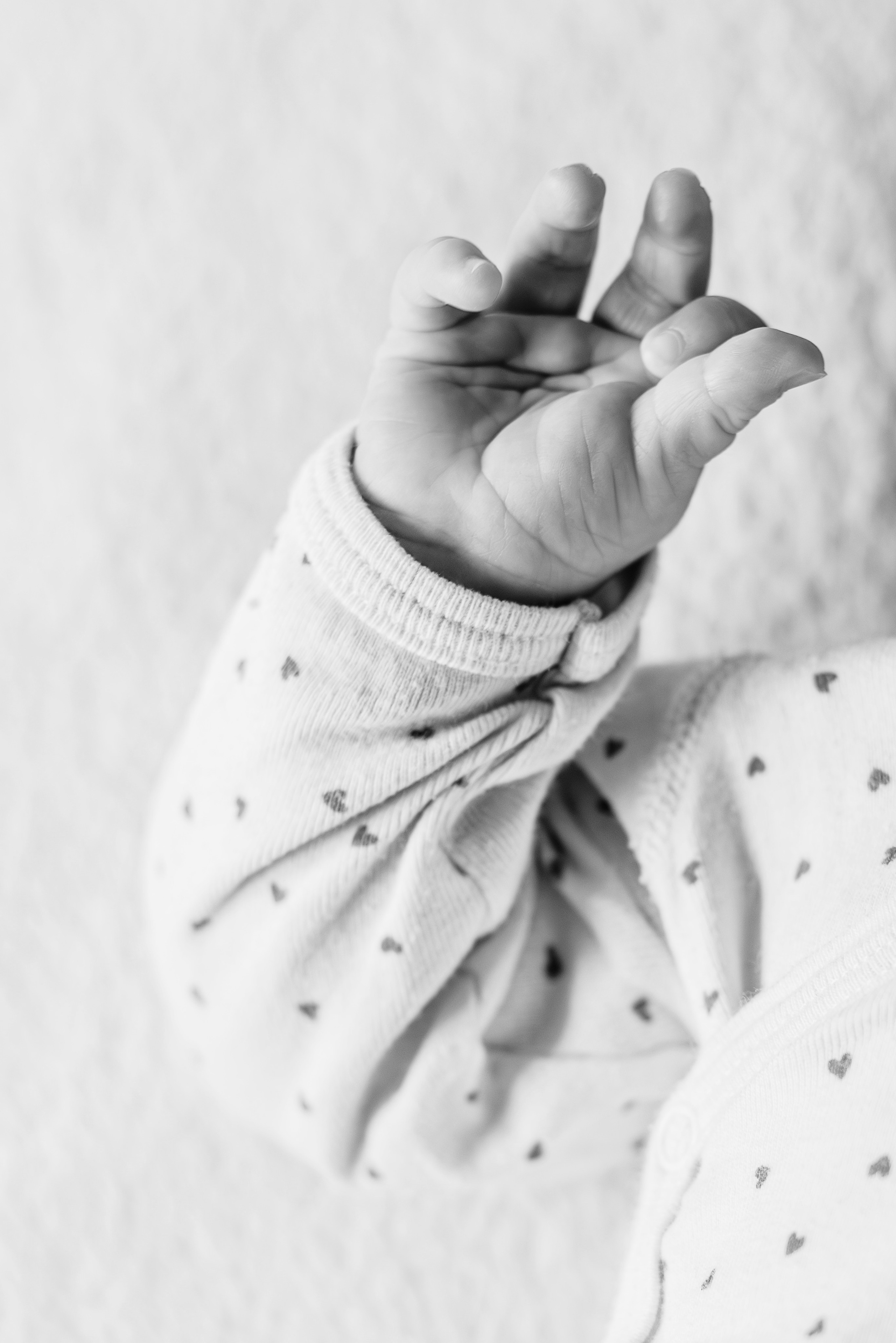 Exemples de séances photo bébé & famille à Toulouse — Evolution. Evolution — projet photo du premier an de bébé à Toulouse