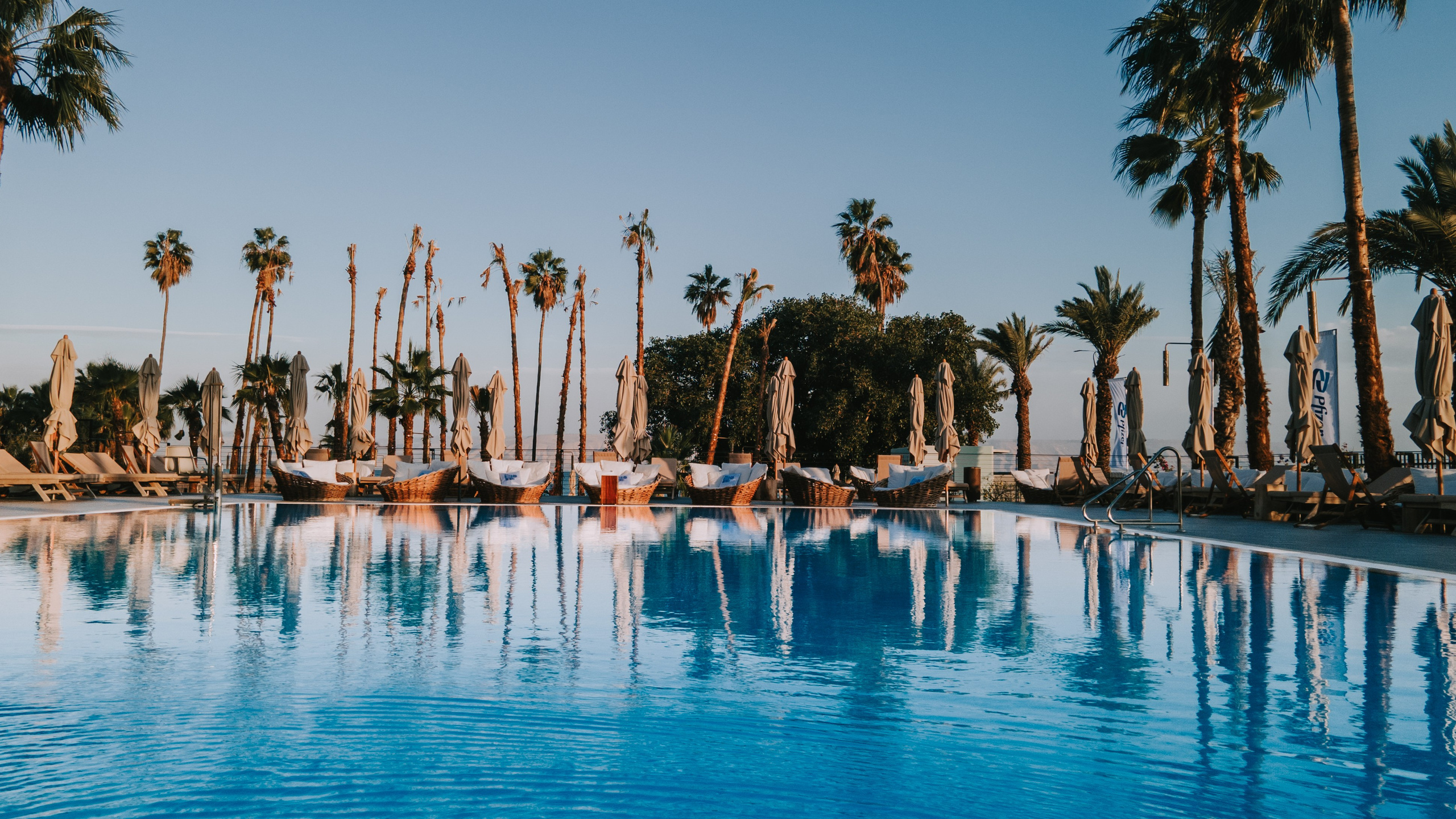 Pfizer. AMIR BUCHNIK PHOTOGRAPHER