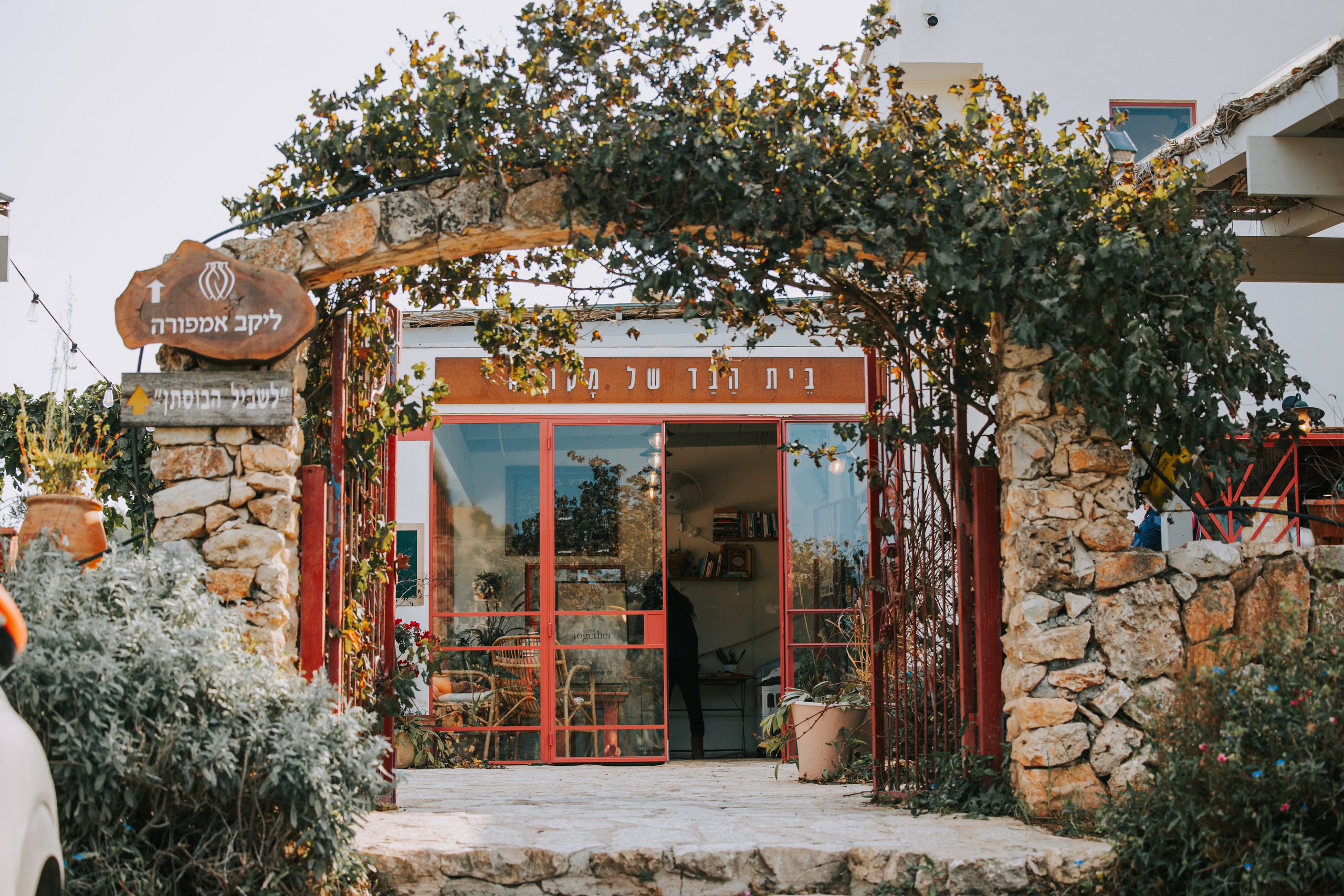 זרעי גדרה — SYNGENTA. AMIR BUCHNIK PHOTOGRAPHER