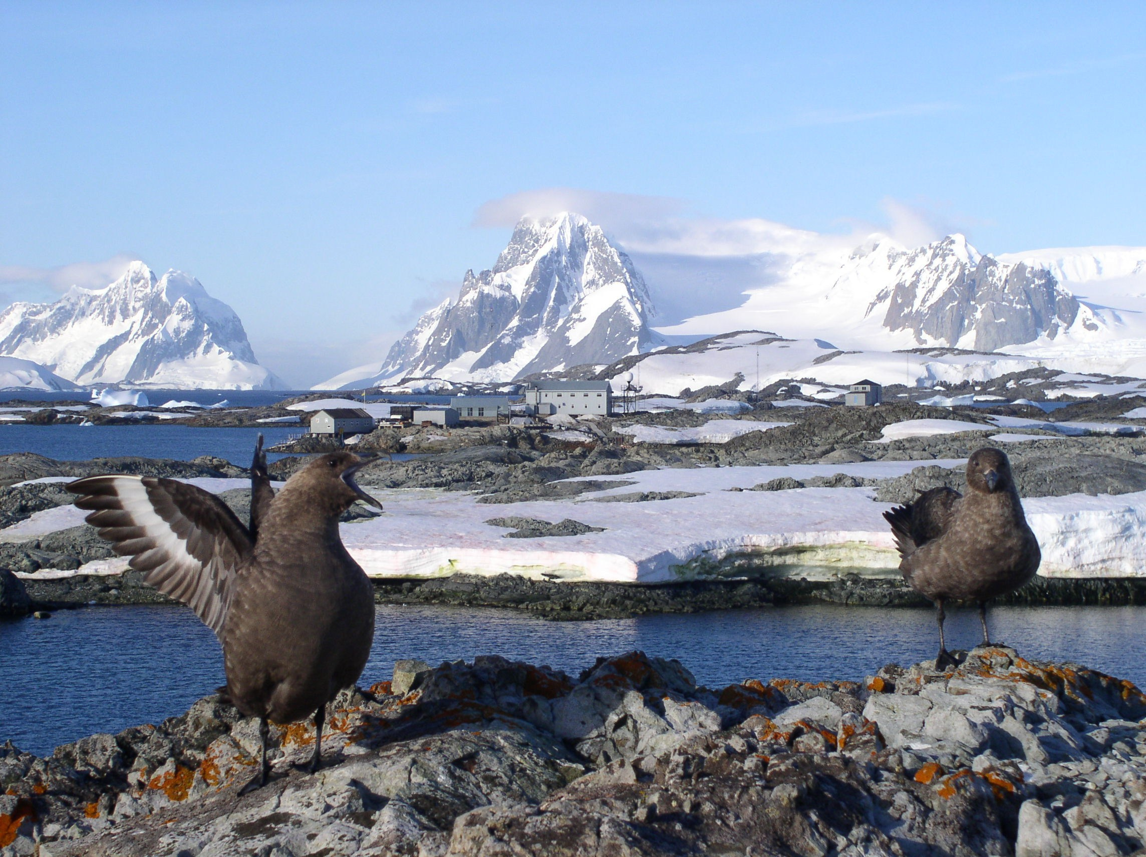 ANTARCTICA. Reportage concert portrait photography in the San Francisco Bay Area