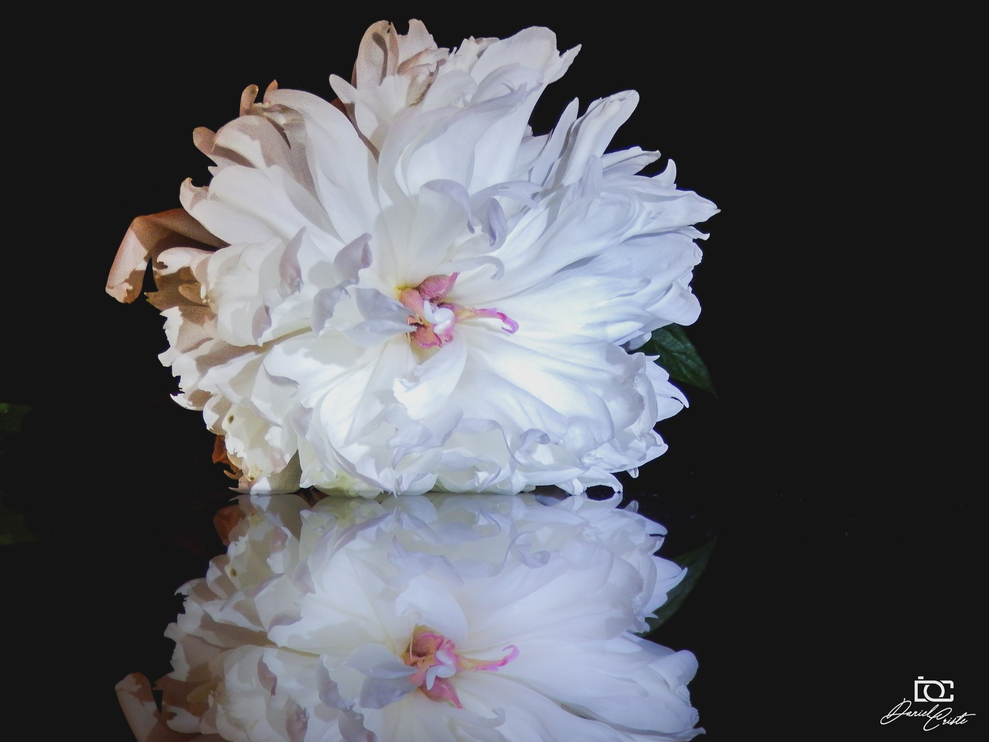 Peisaj /natura. Daniel Criste Fotograf