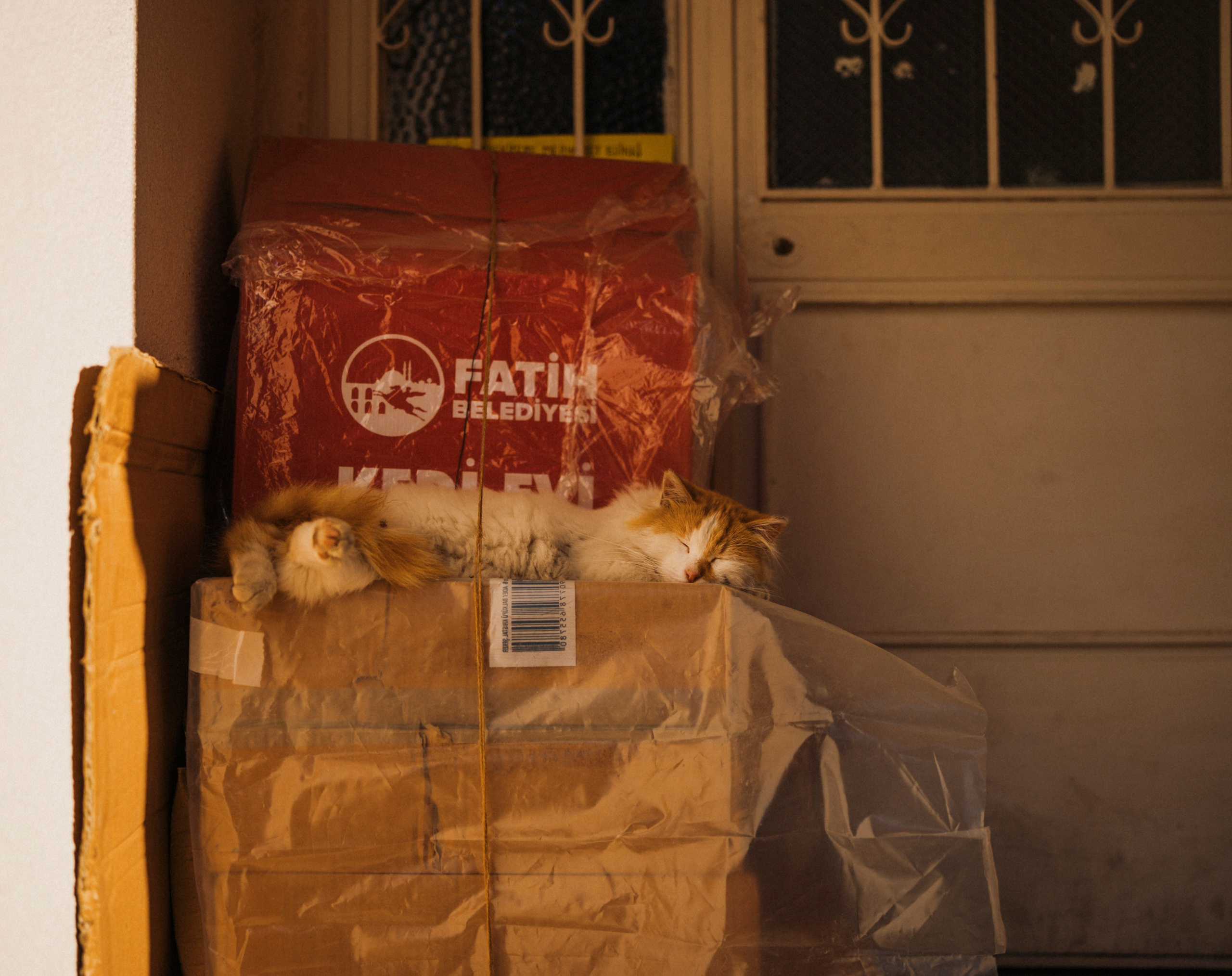 СТАМБУЛ. Стрит-фотография, полная абсурда, идиотизма и красоты