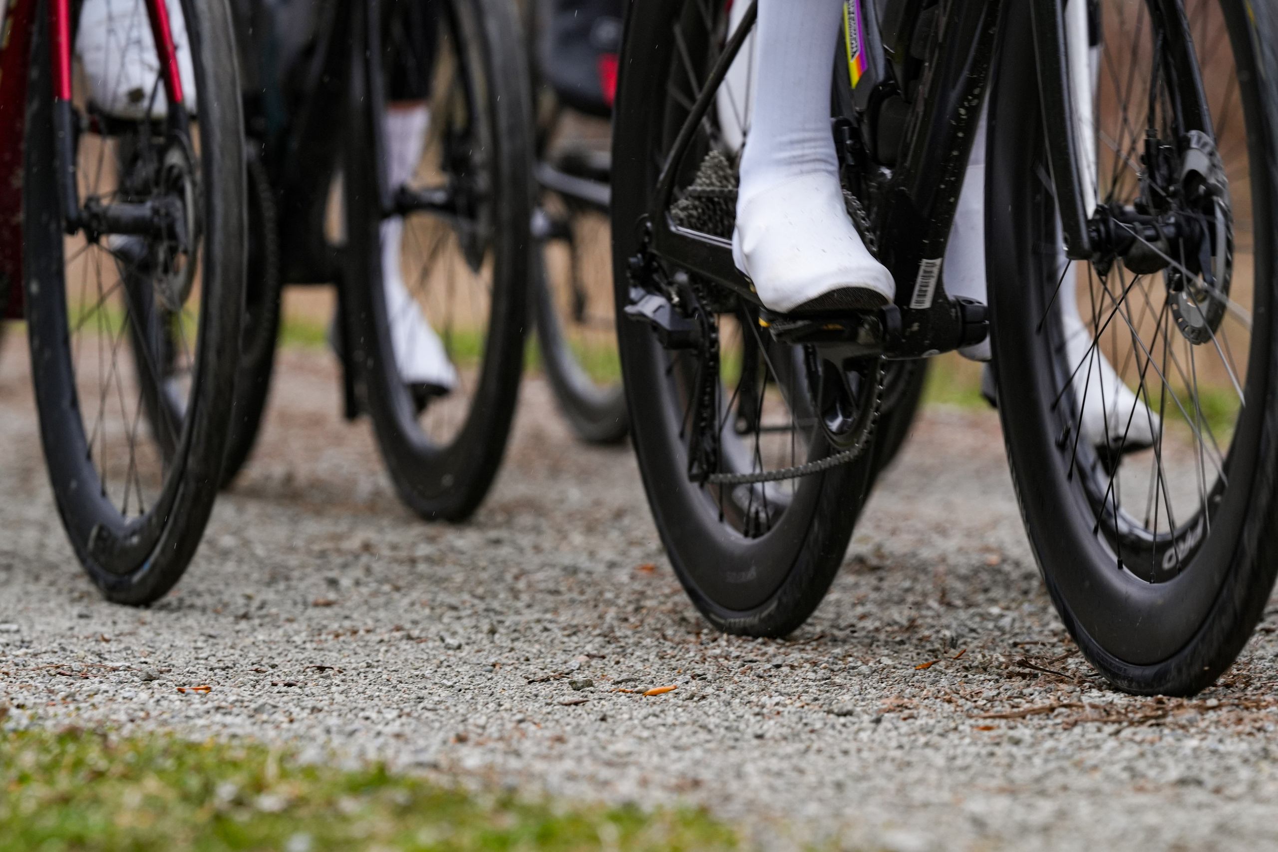 Jeremy Roubiax. Shuttergry Photography