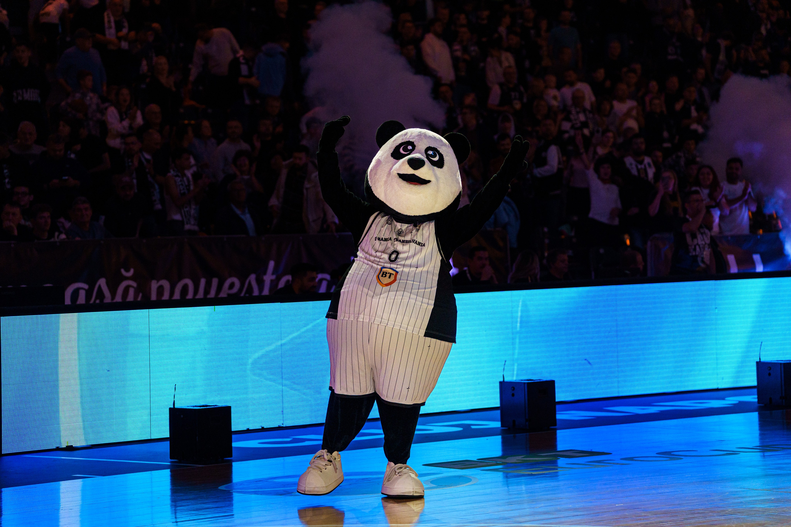 Alecsandru Braicu — Fotograf Sportiv