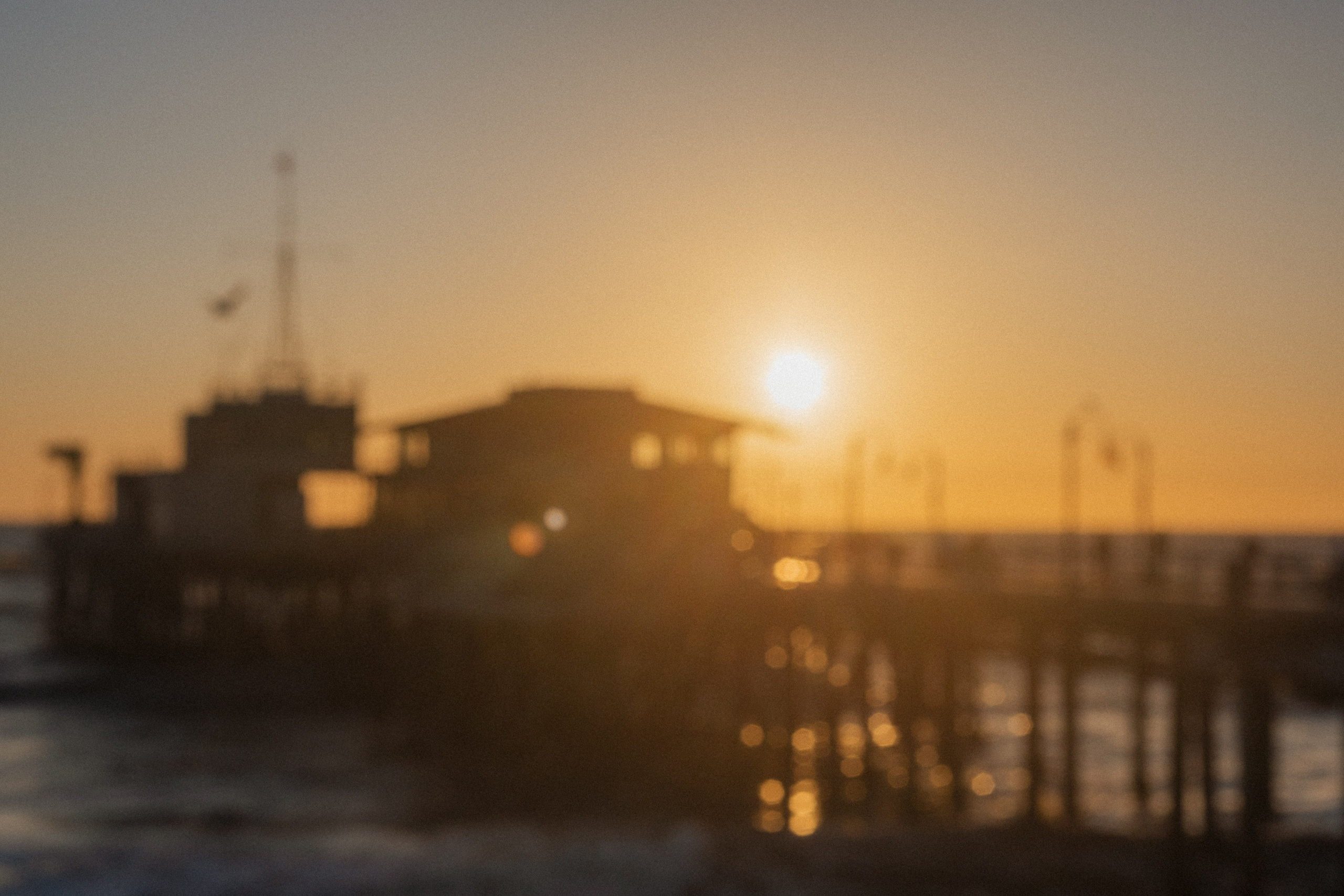 Los Angeles. Aleks.photo | Book a photoshoot