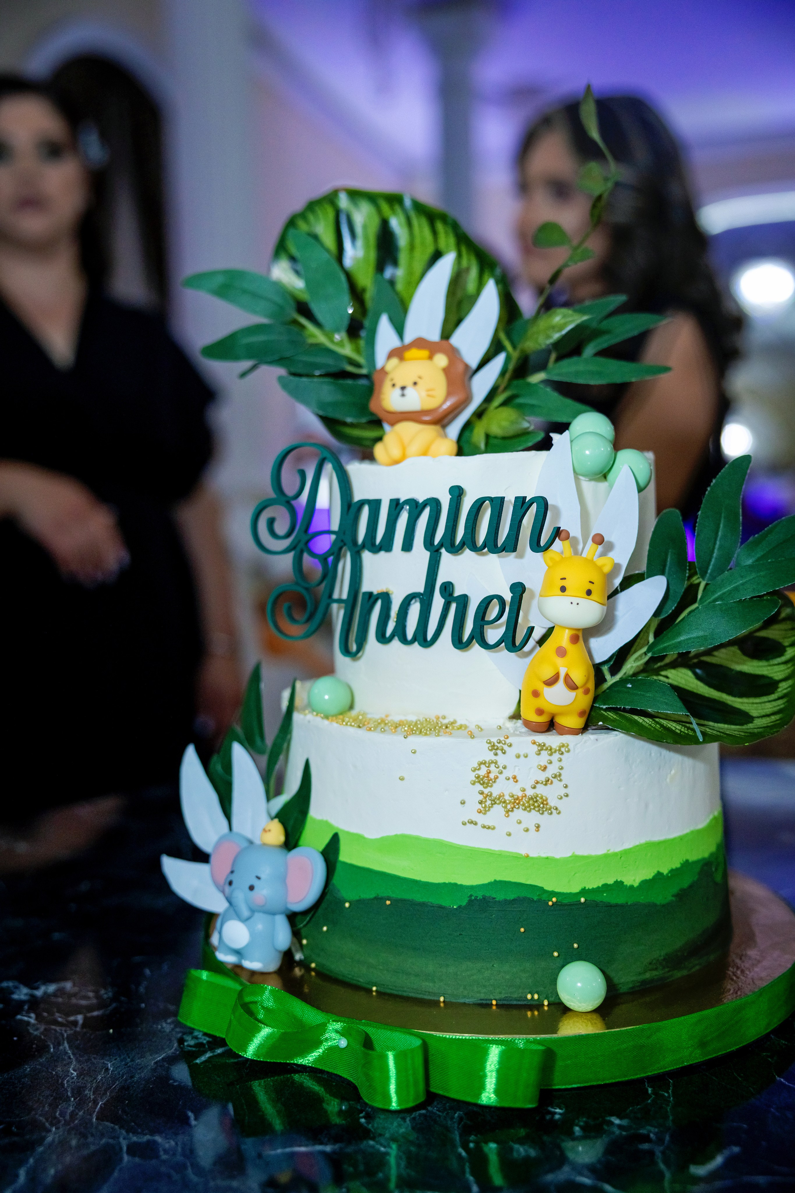 Andrei Damian. Moments By Gub