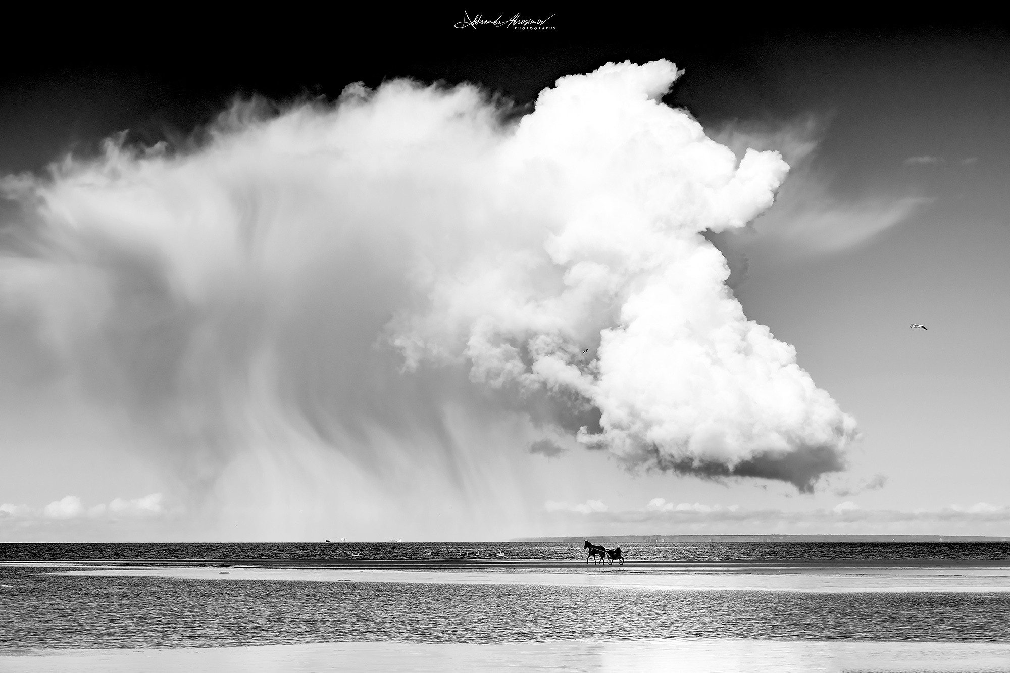 B&W. Aleksandr Abrosimov Photography