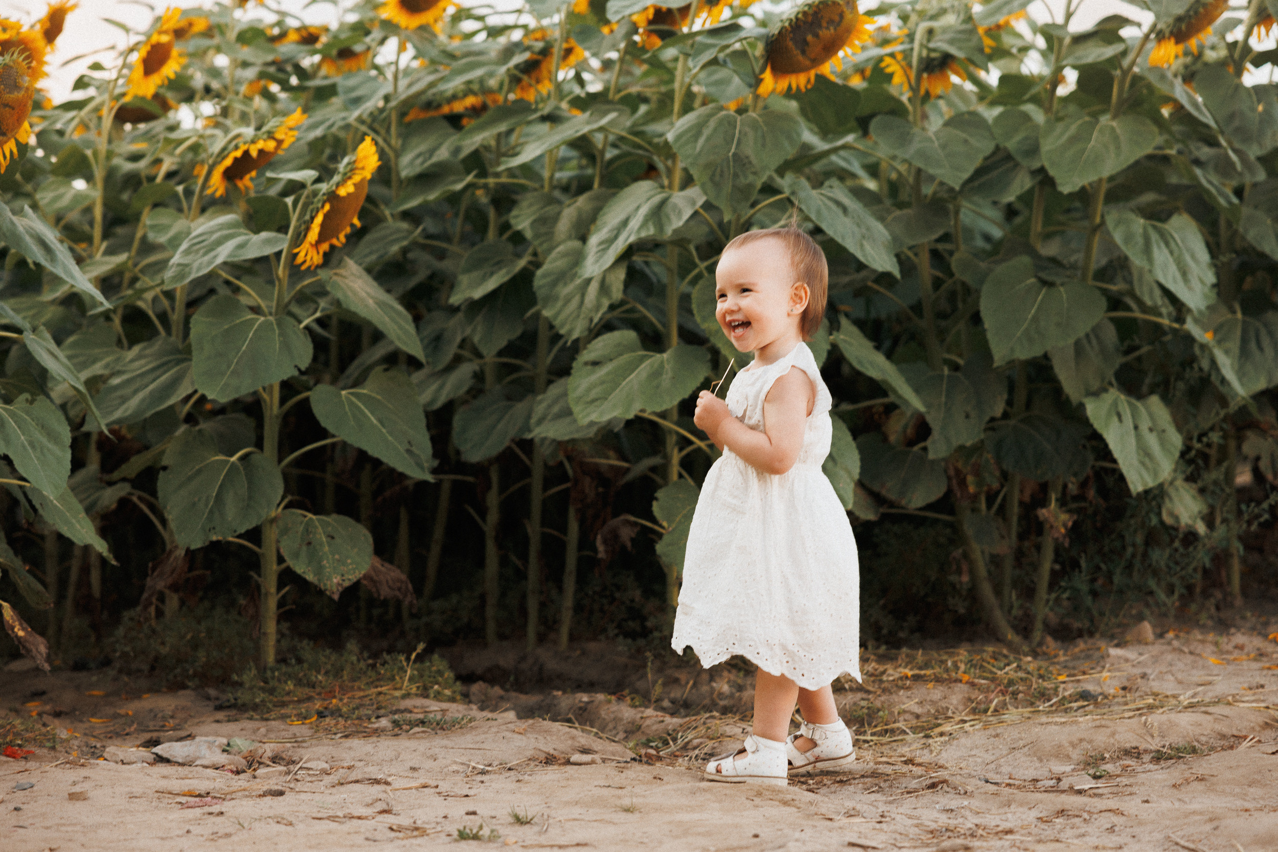 Family. Anna Gabitova — Family, Maternity, Lifestyle Photographer in Montreal