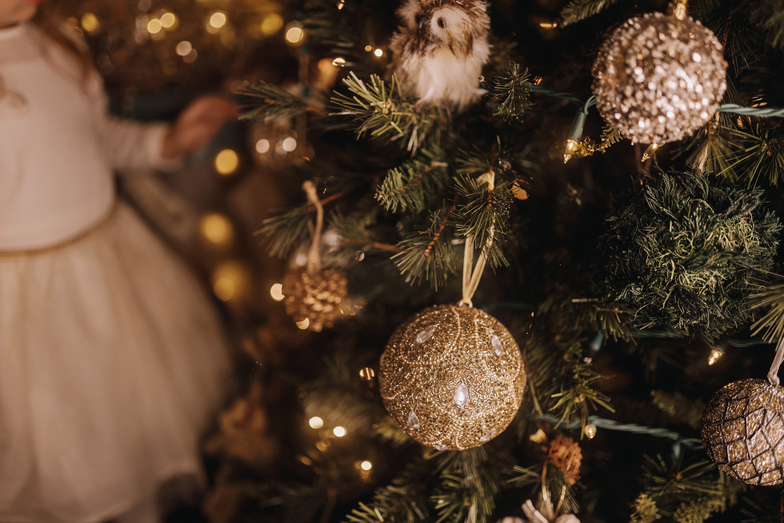 25.11.2023 Christmas Photoshoot. Wedding family event photographer in Chicago Nick Yushevich