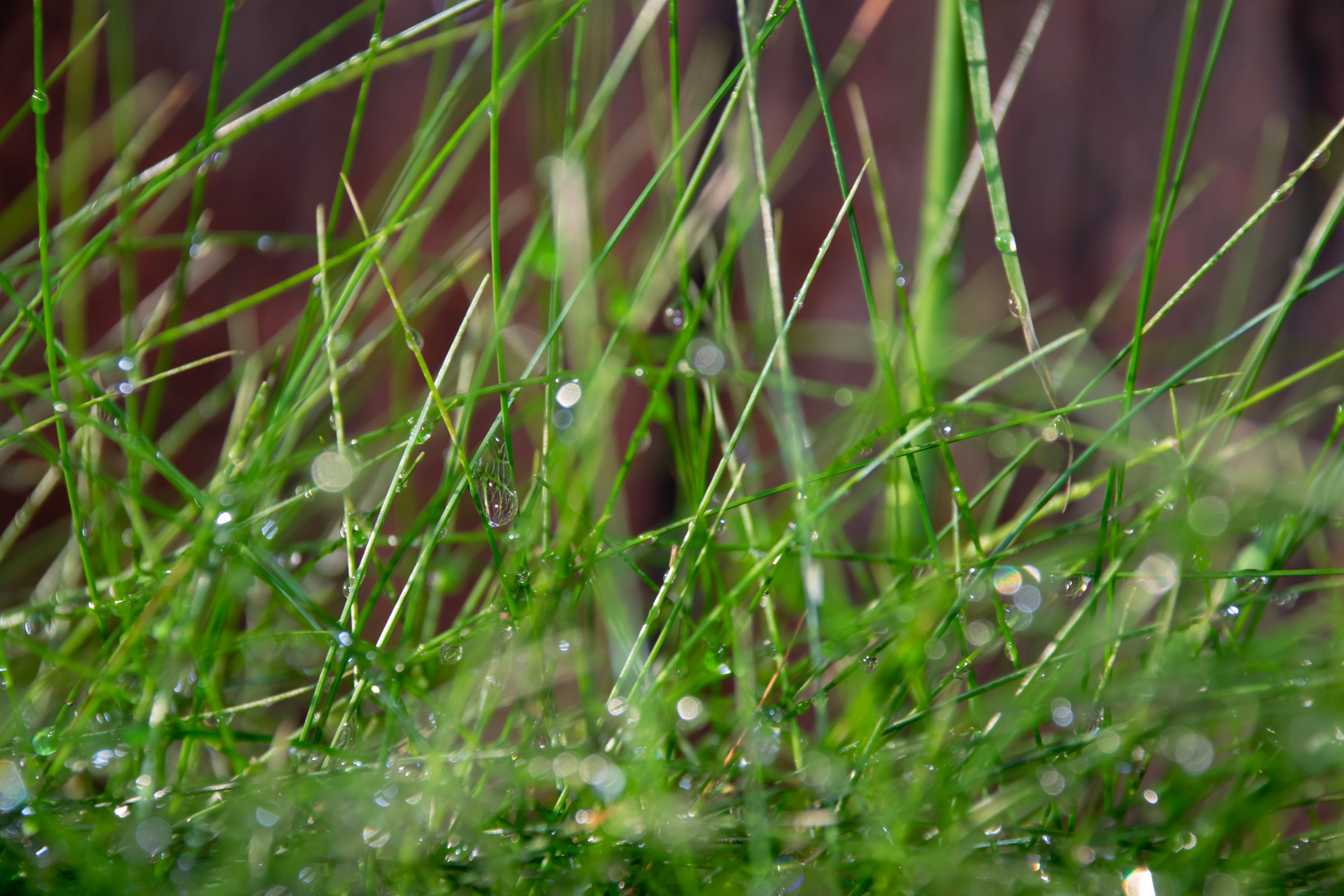 Portfolio. Photographer in Sotenäs municipality. Fotograf i Sotenäs kommun