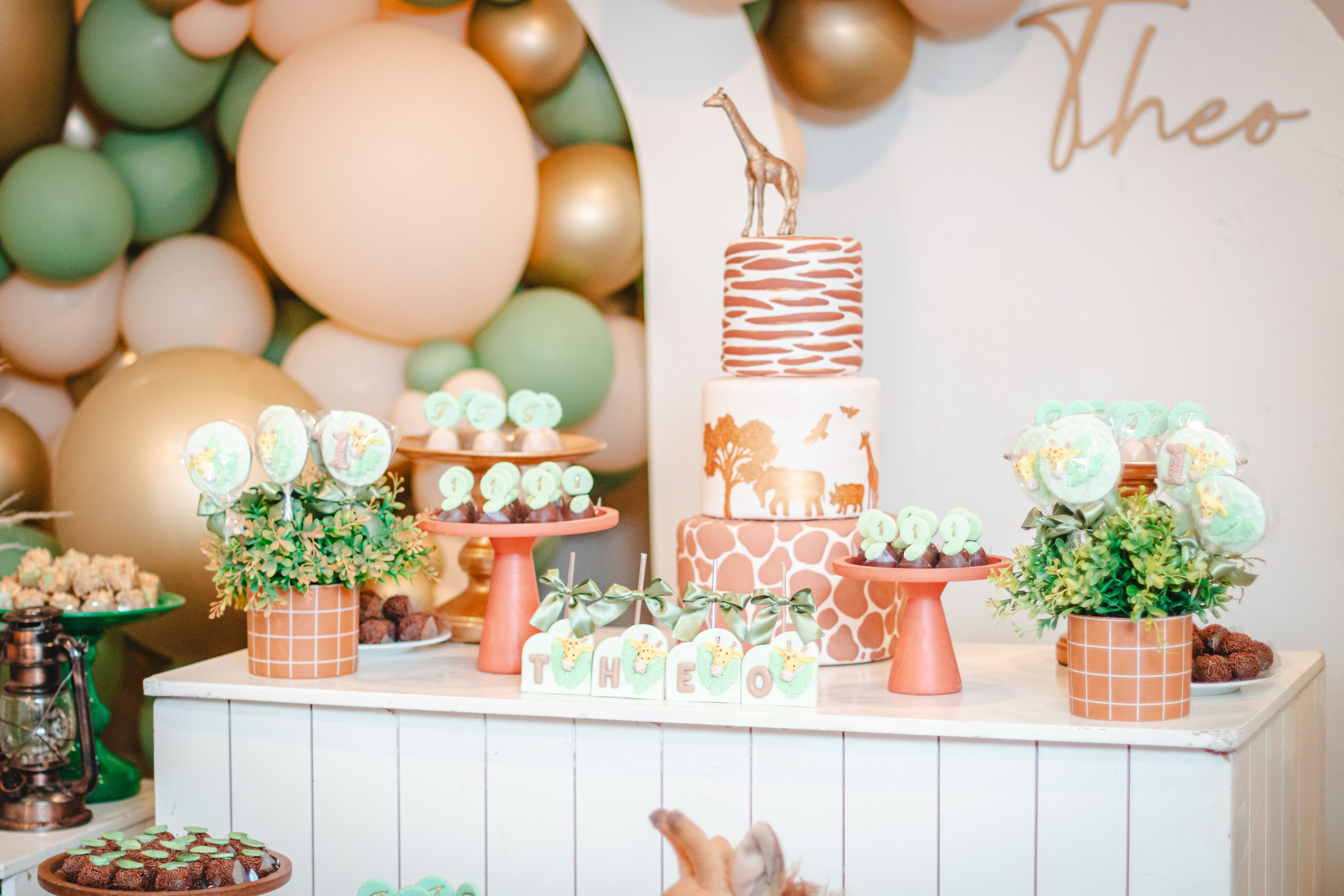 Theo — Aniversário 1 ano. Principal